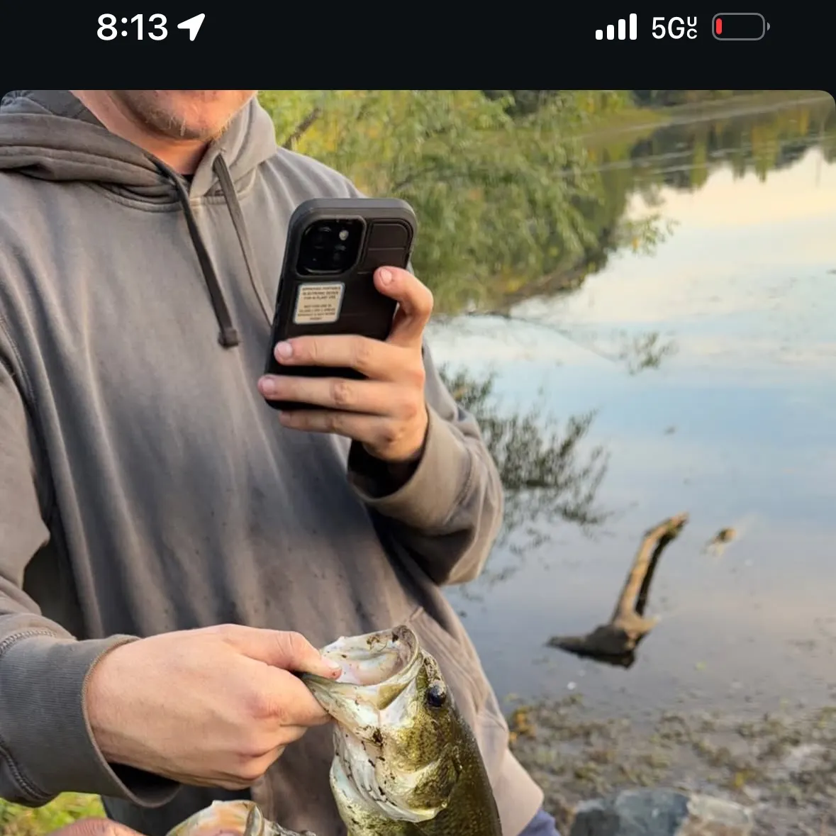Largemouth bass caught on Fishbrain