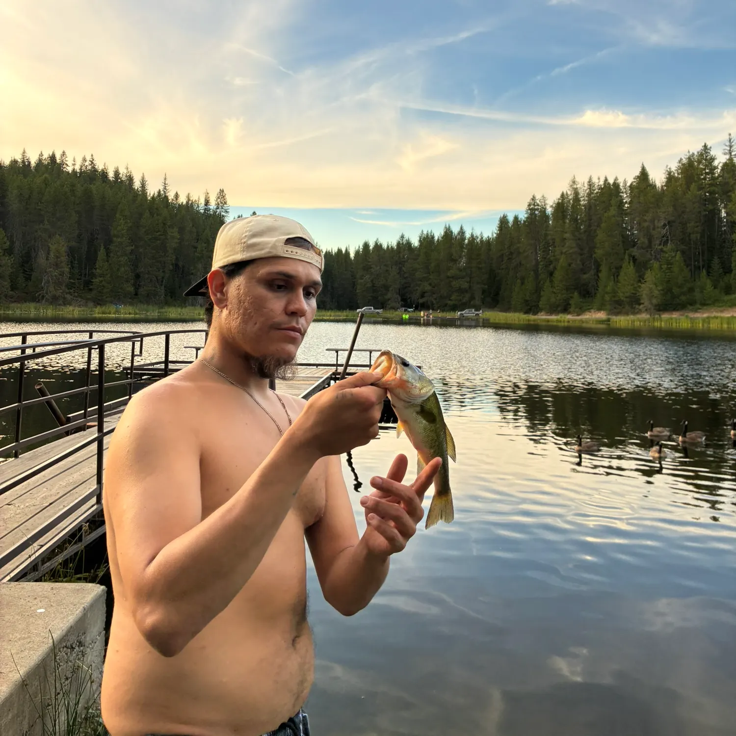catch