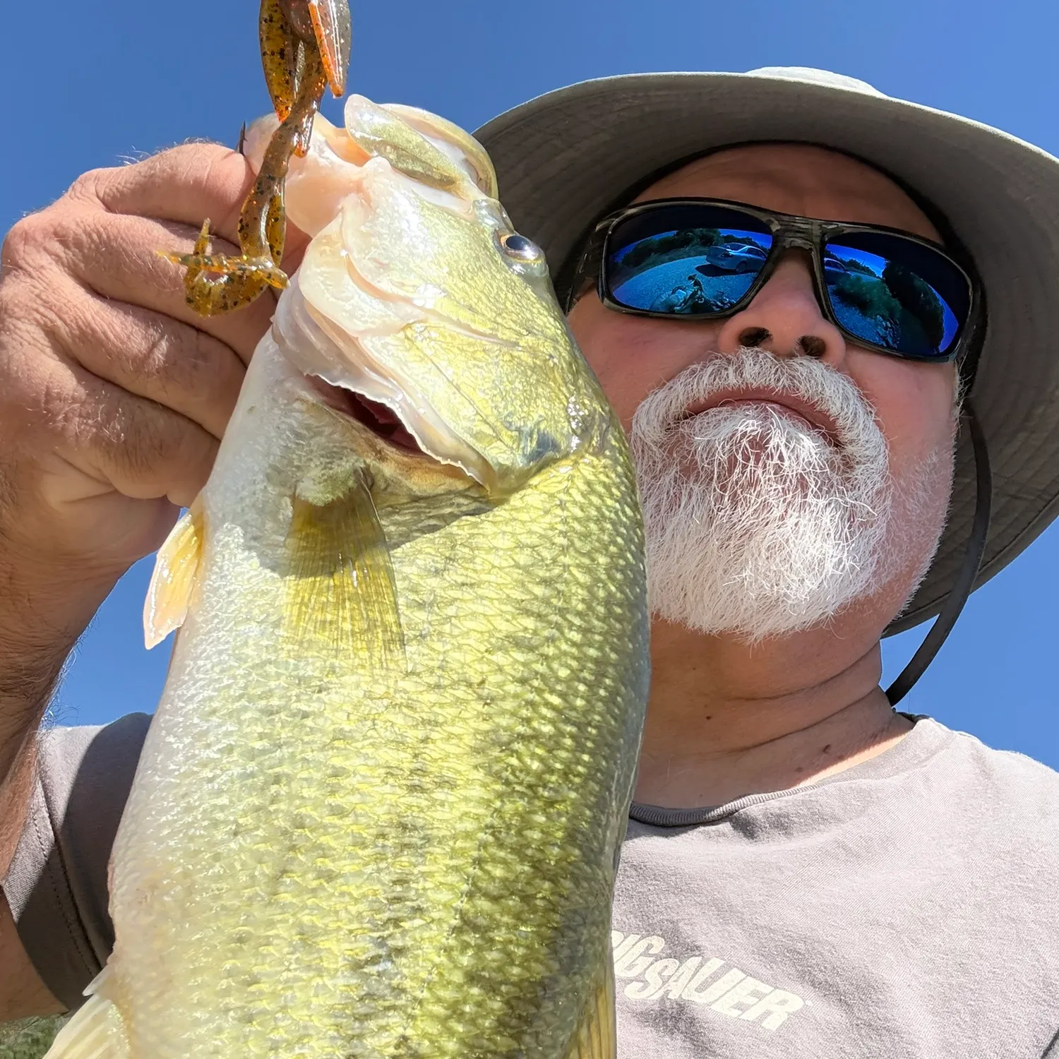 Largemouth bass caught on Fishbrain