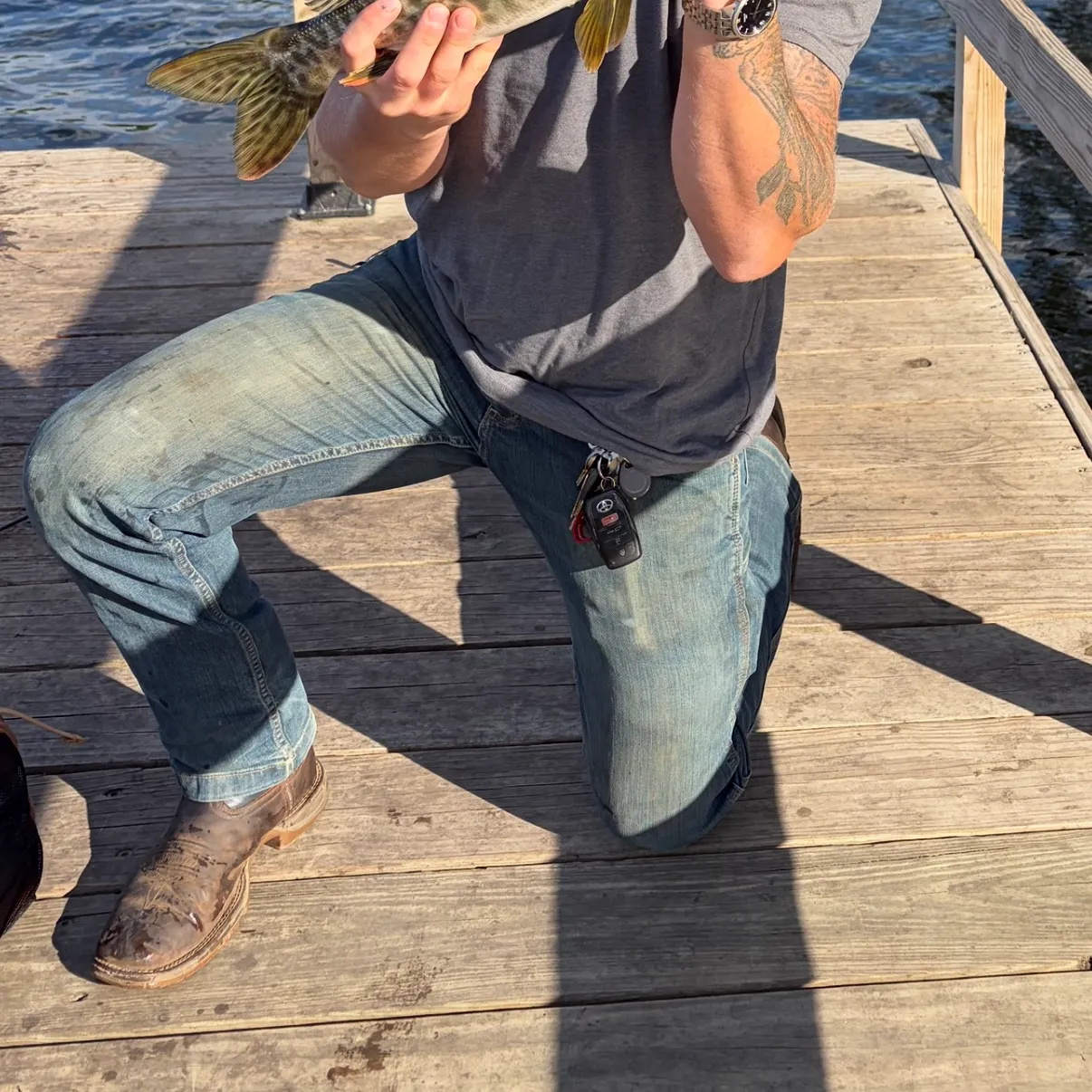 catch