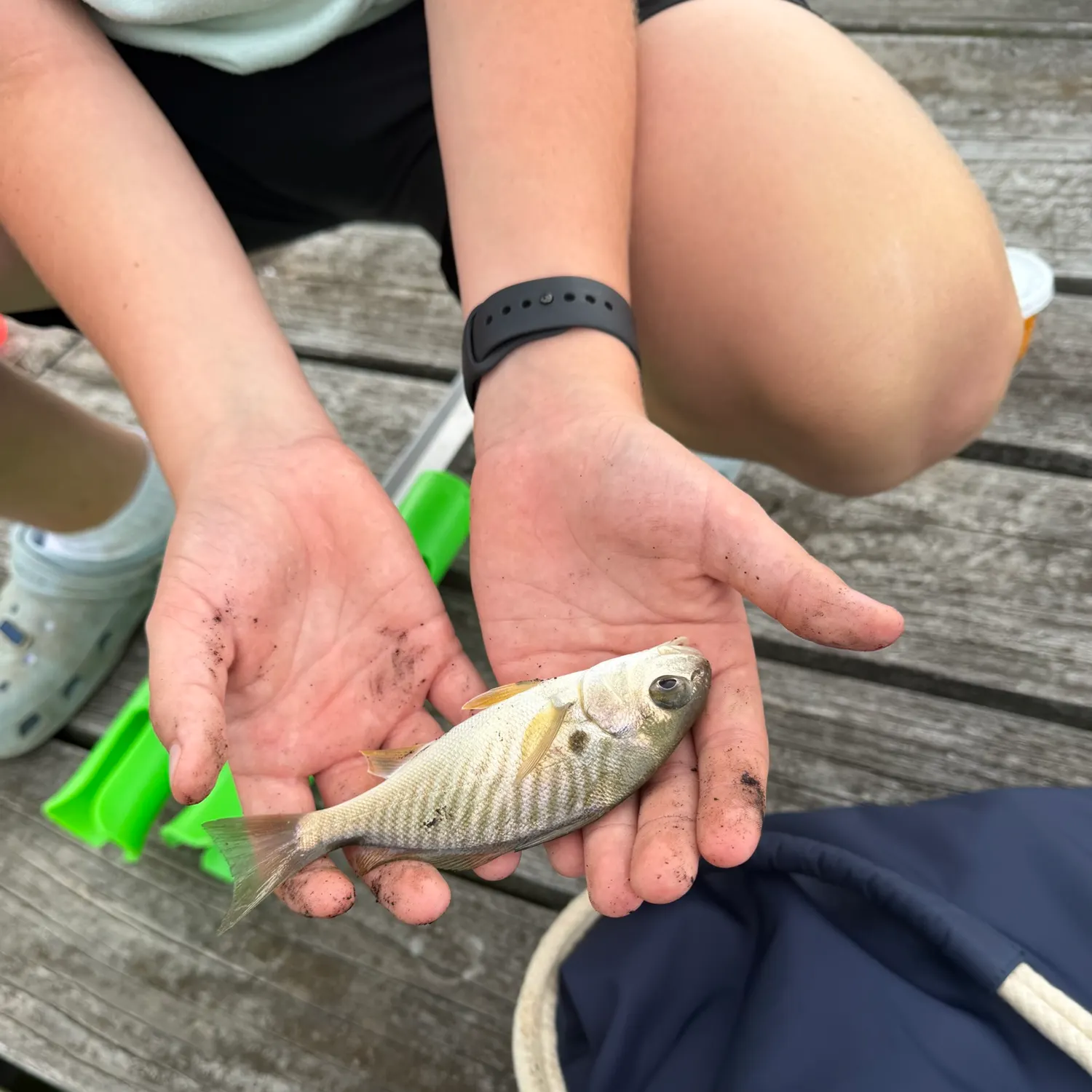 catch