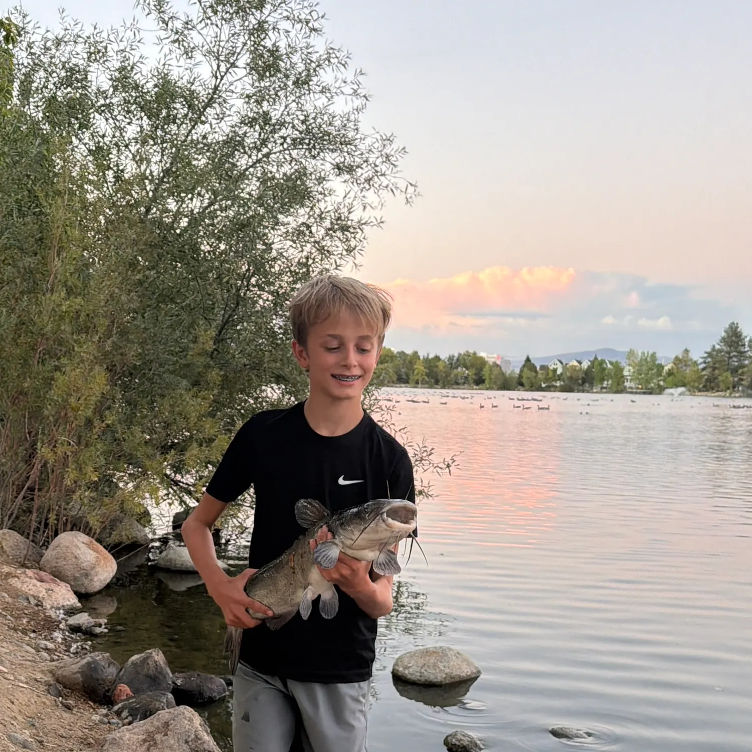 Channel catfish caught on Fishbrain