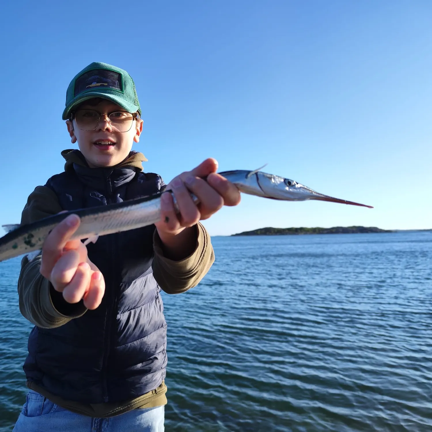 The most recent European garfish catches on Fishbrain