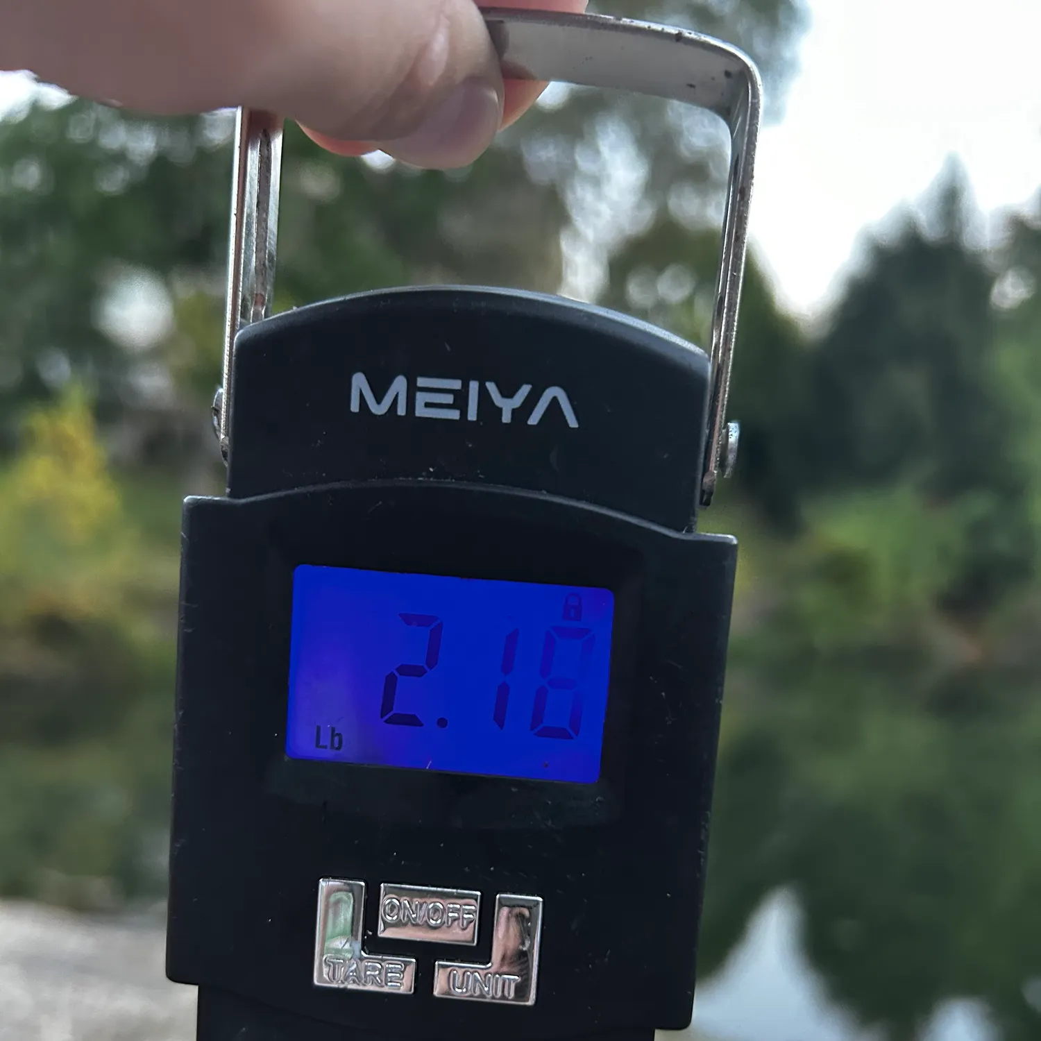 Fish caught on Fishbrain