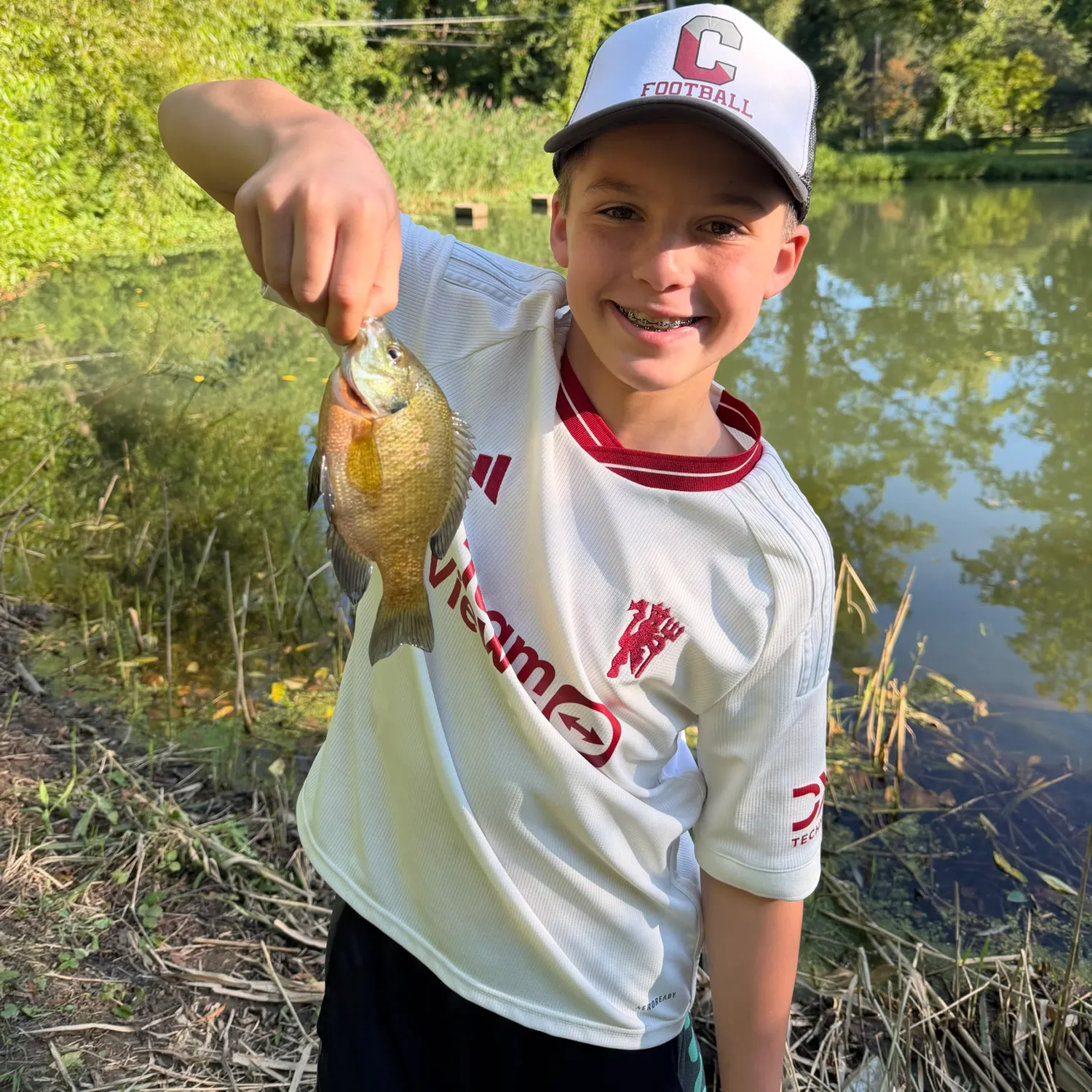 Bluegill caught on Fishbrain