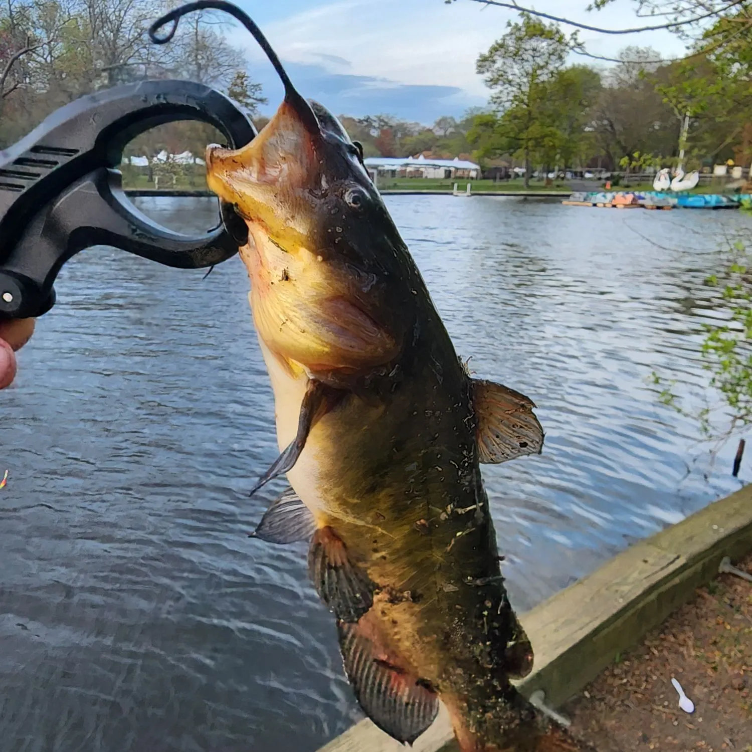 catch