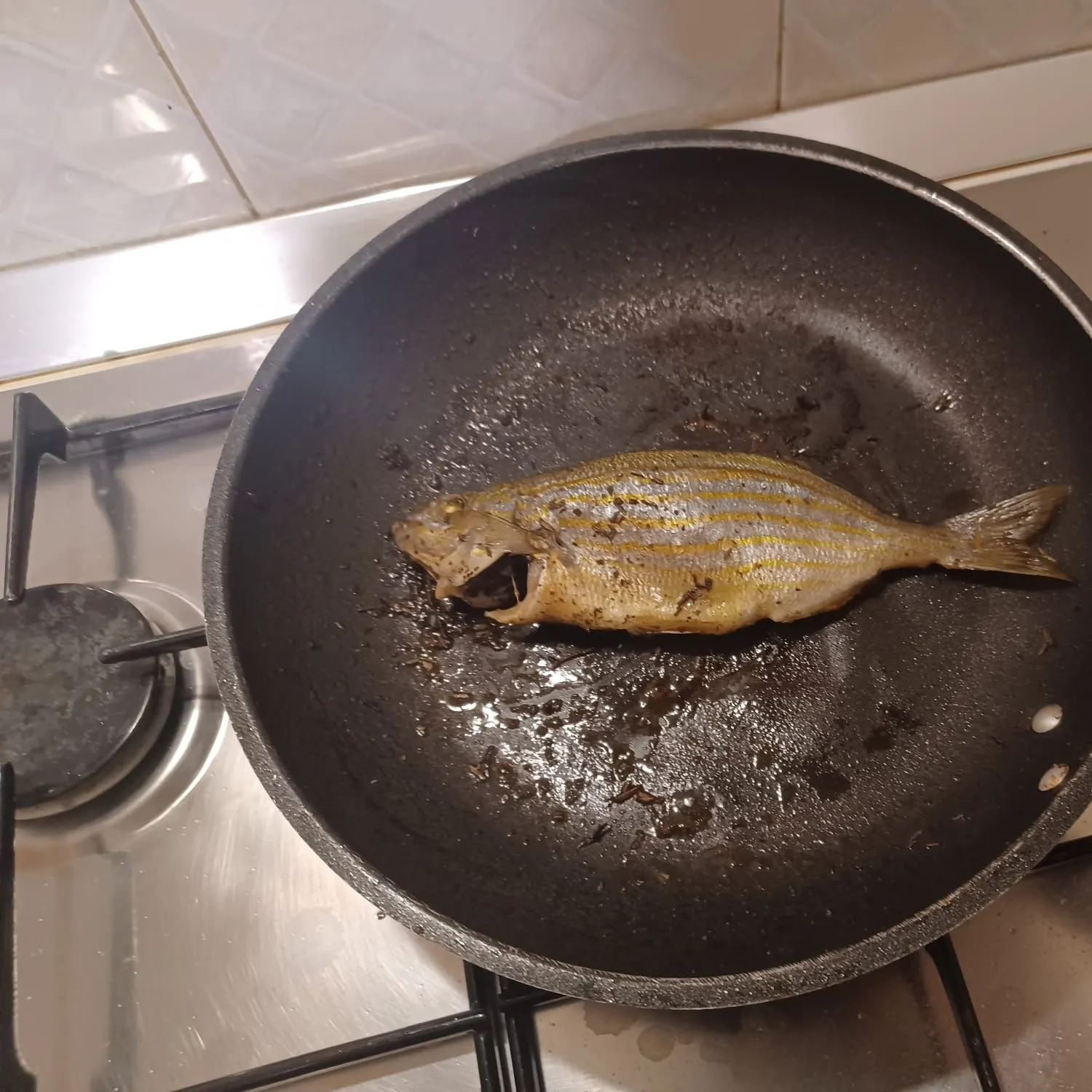 The most recent White seabream catches on Fishbrain