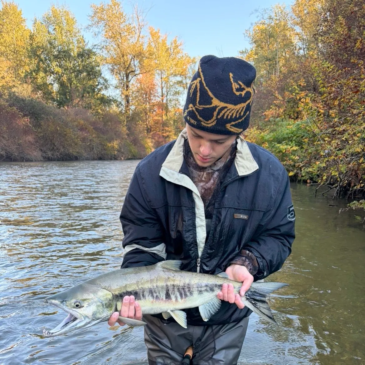 Chum salmon caught on Fishbrain