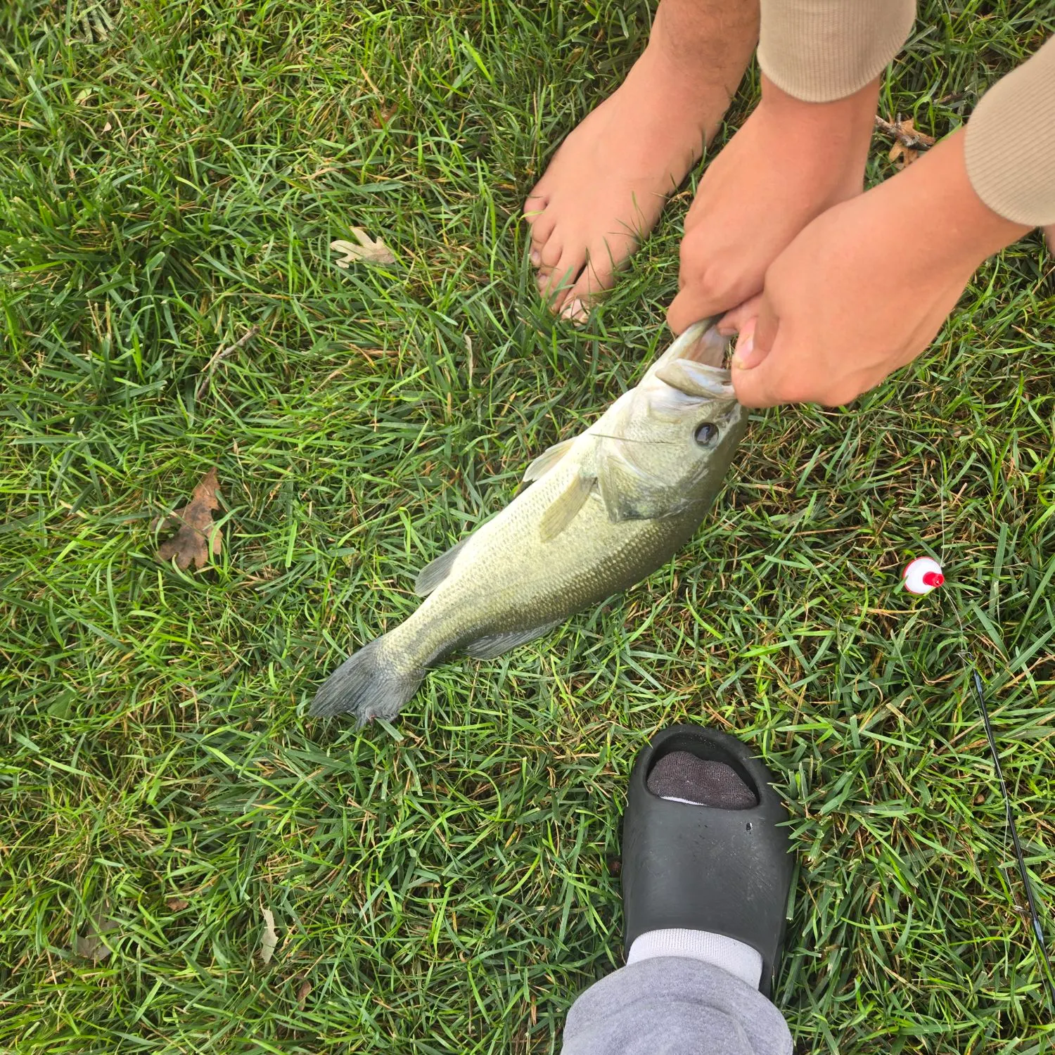 Fish caught on Fishbrain