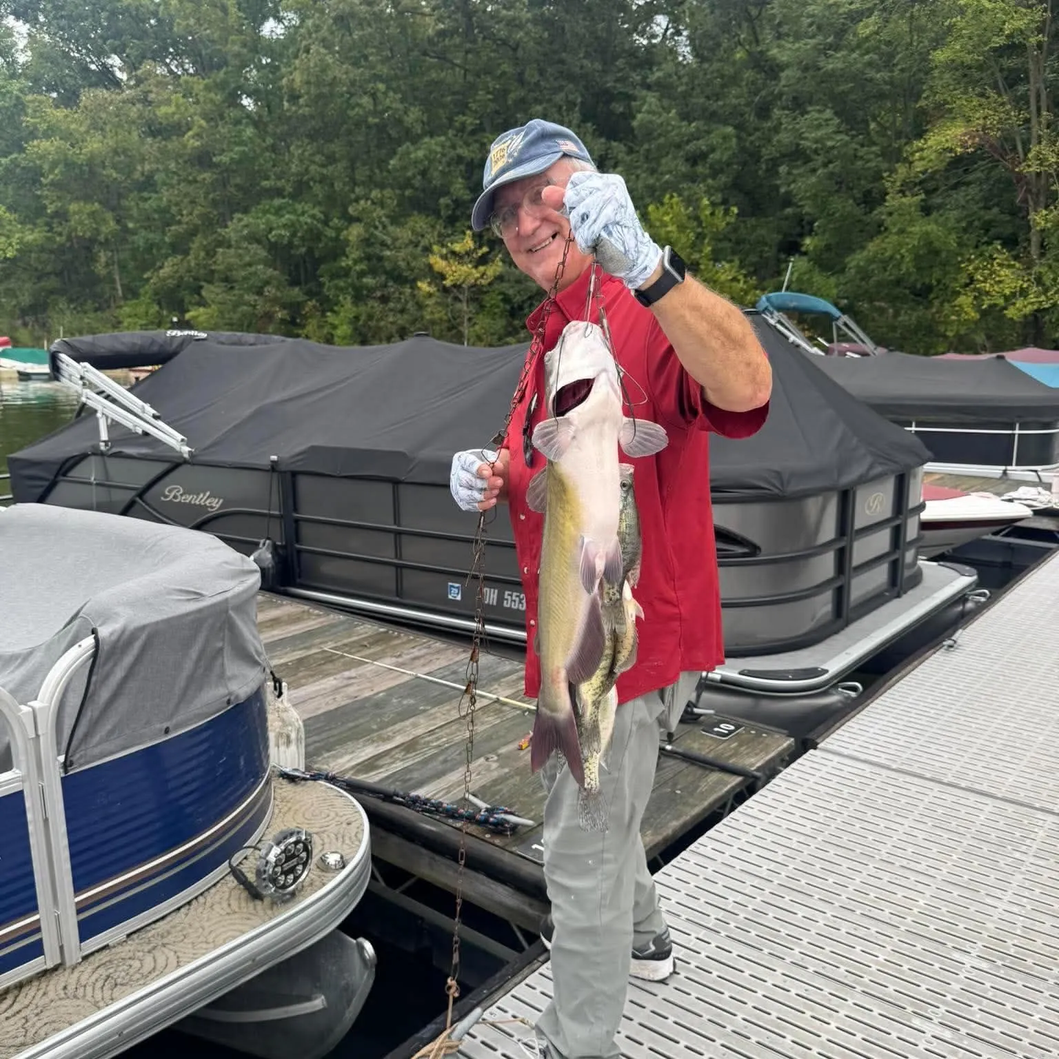 Channel catfish caught on Fishbrain