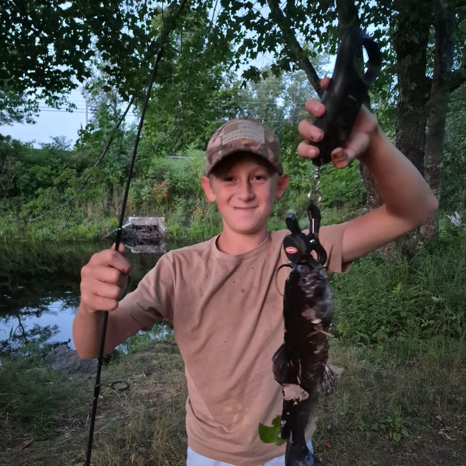 Brown bullhead caught on Fishbrain