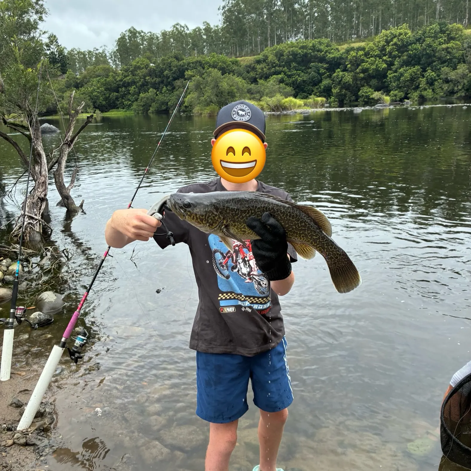 The most recent Clarence River cod catches on Fishbrain