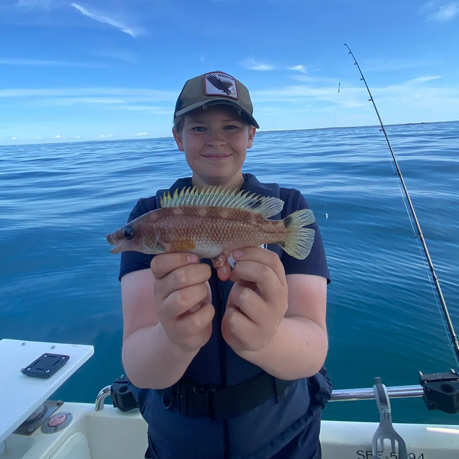 The most recent Scale-rayed wrasse catches on Fishbrain