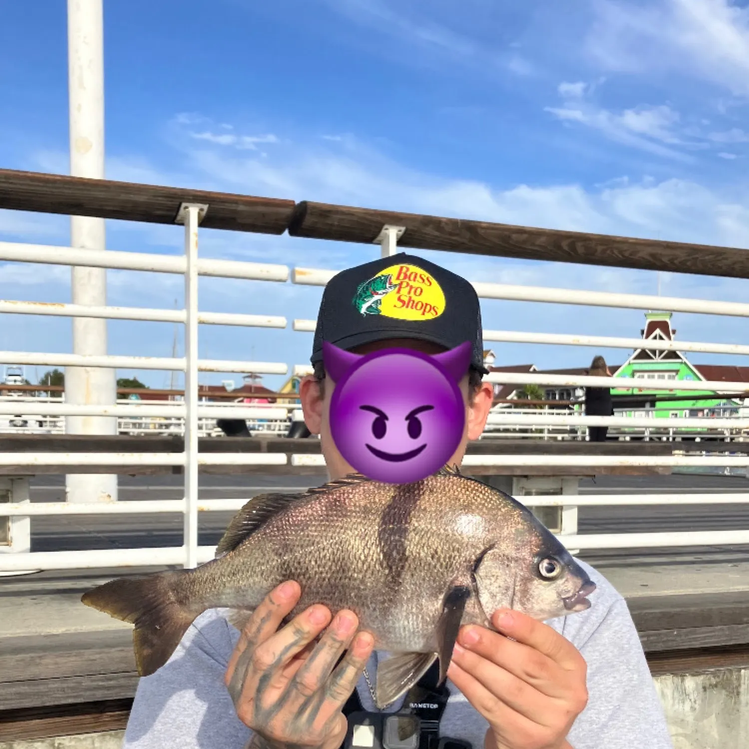 most liked catch image