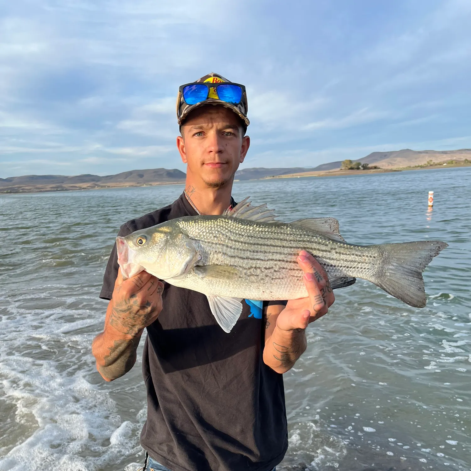 Wiper caught on Fishbrain