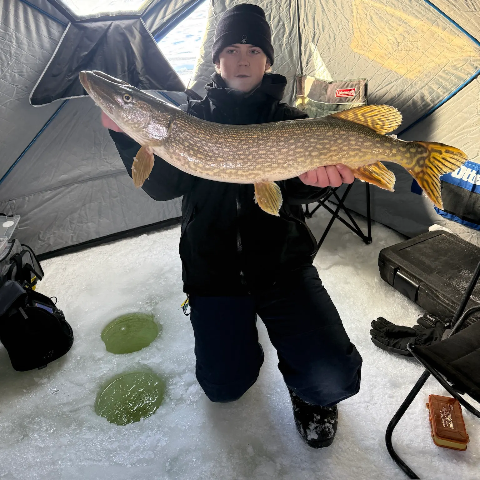 The most recent Northern pike catches on Fishbrain