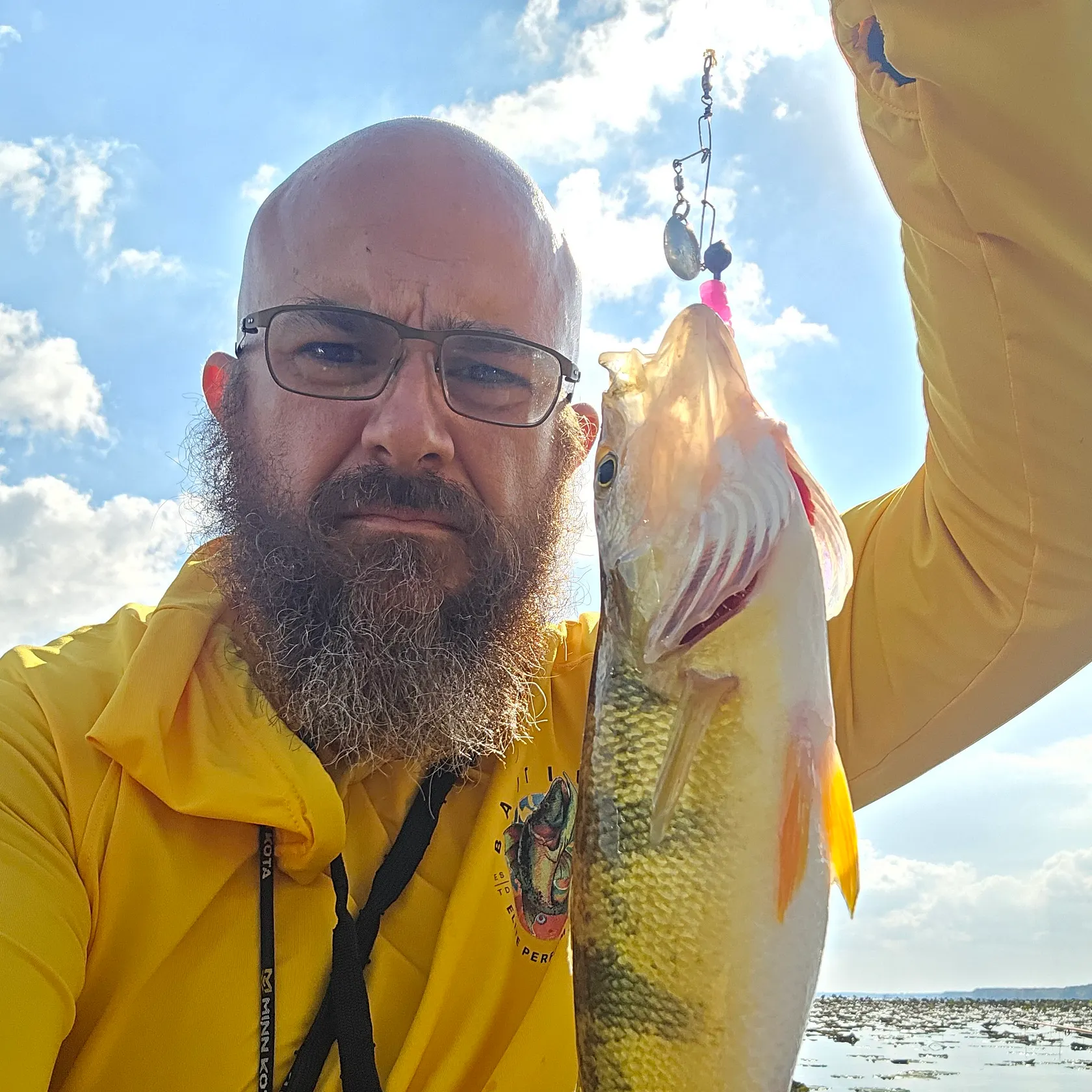 Yellow perch caught on Fishbrain