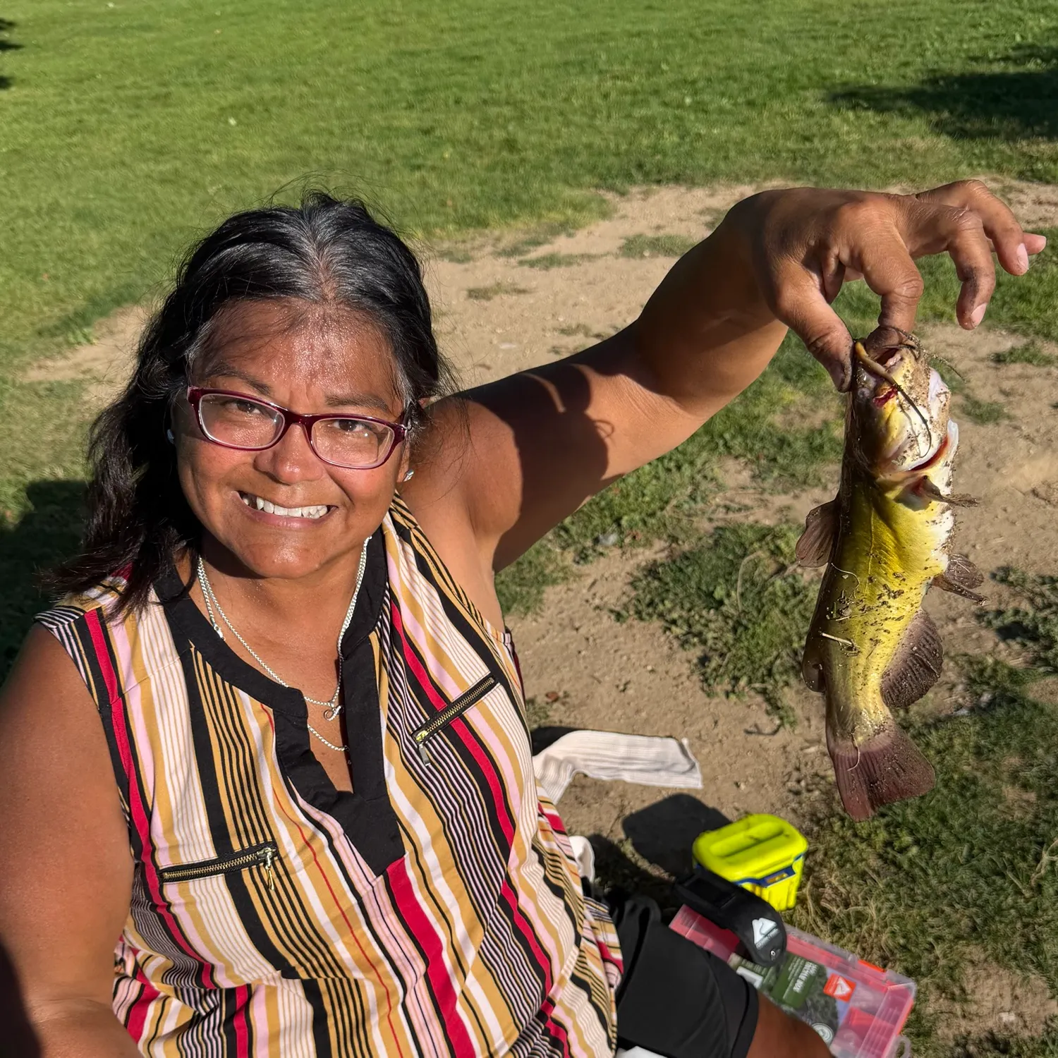 Channel catfish caught on Fishbrain