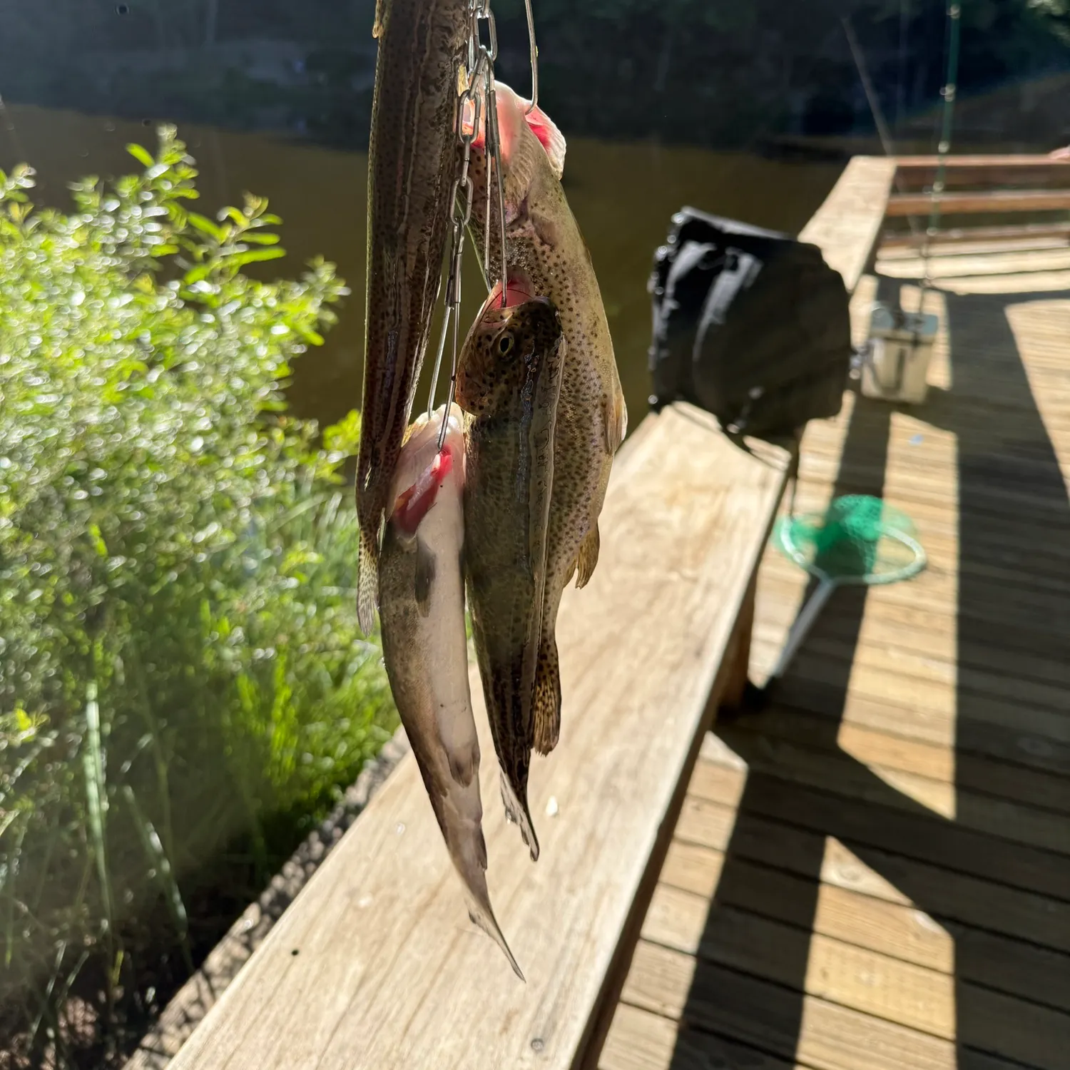 catch