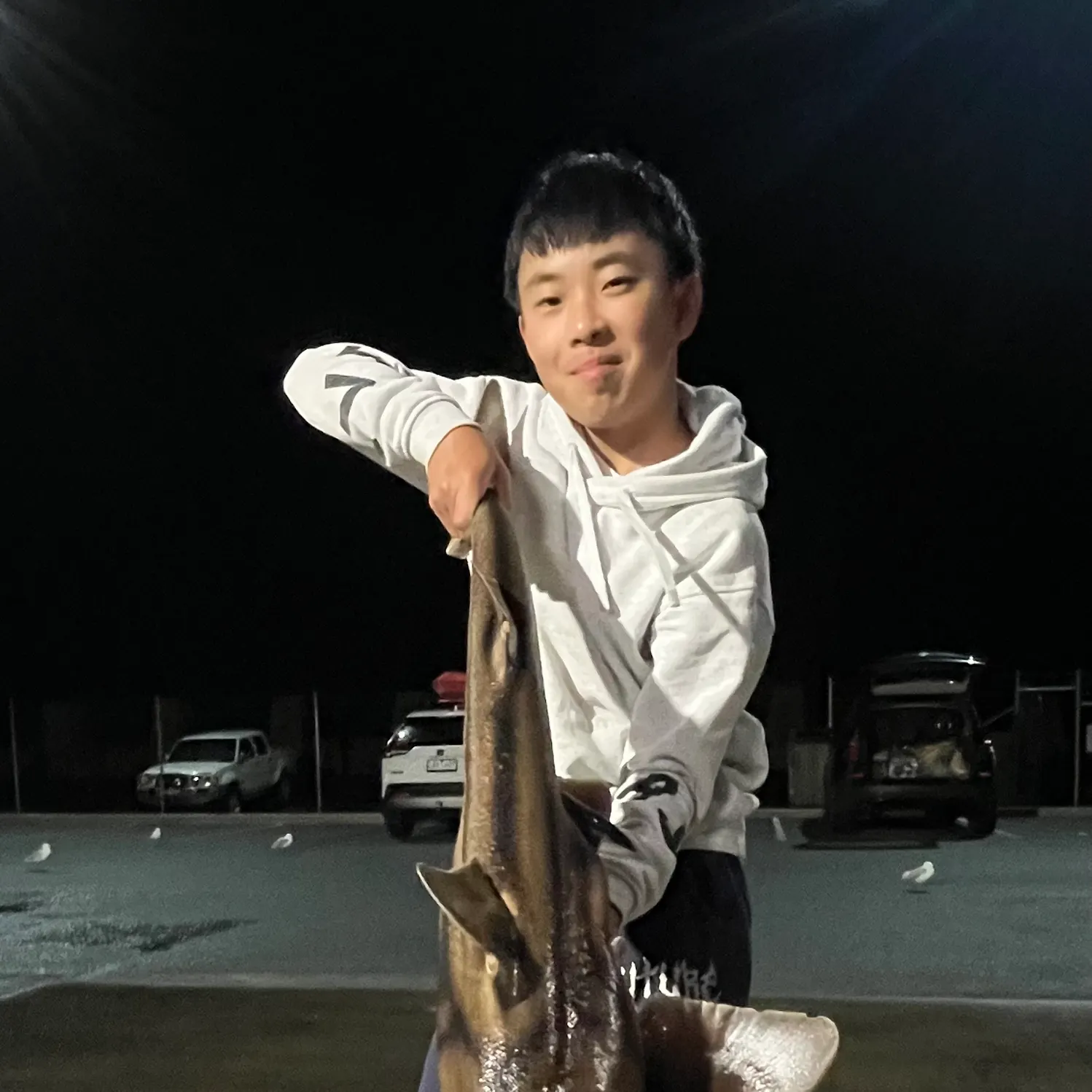 The most recent Port Jackson shark catches on Fishbrain