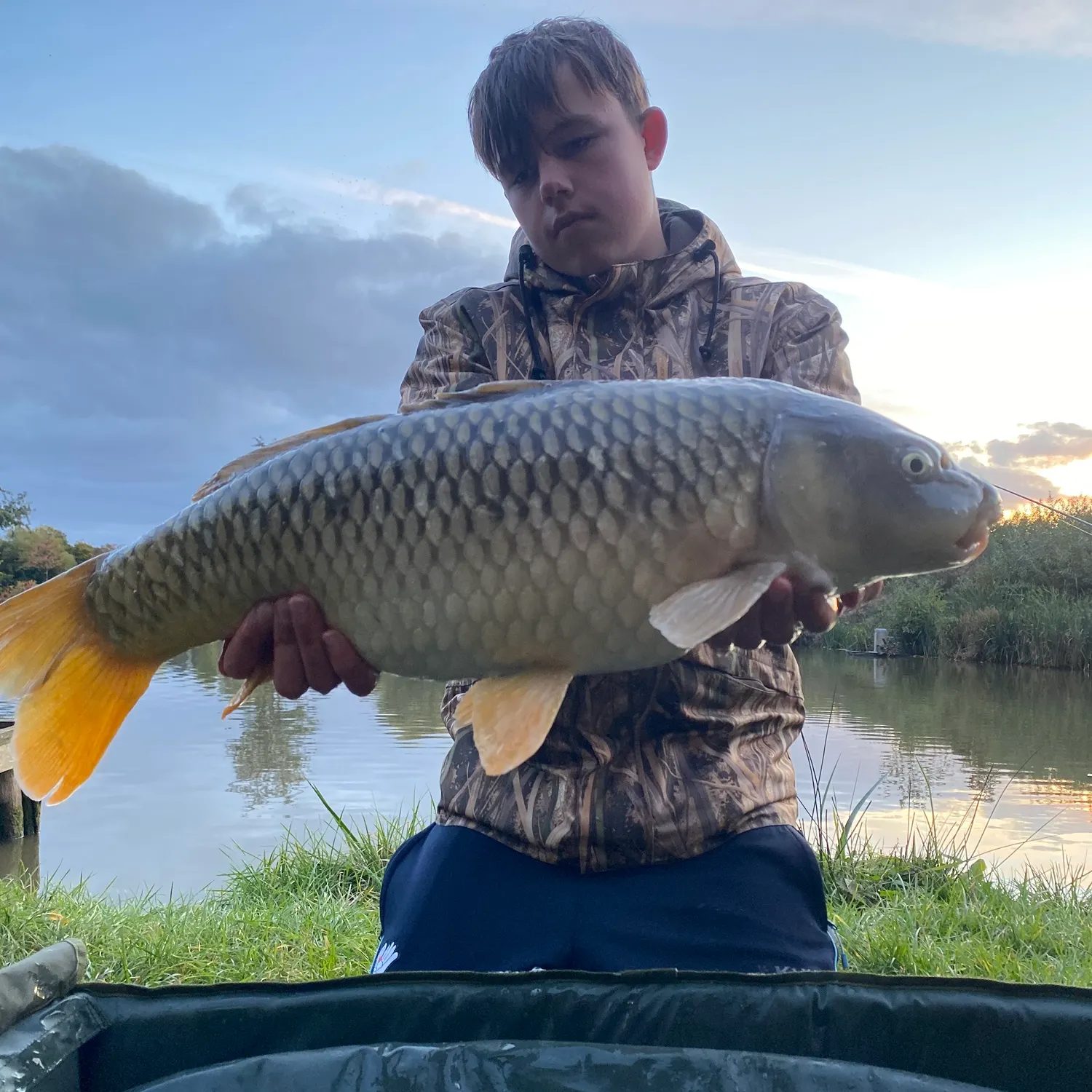 Common carp caught on Fishbrain
