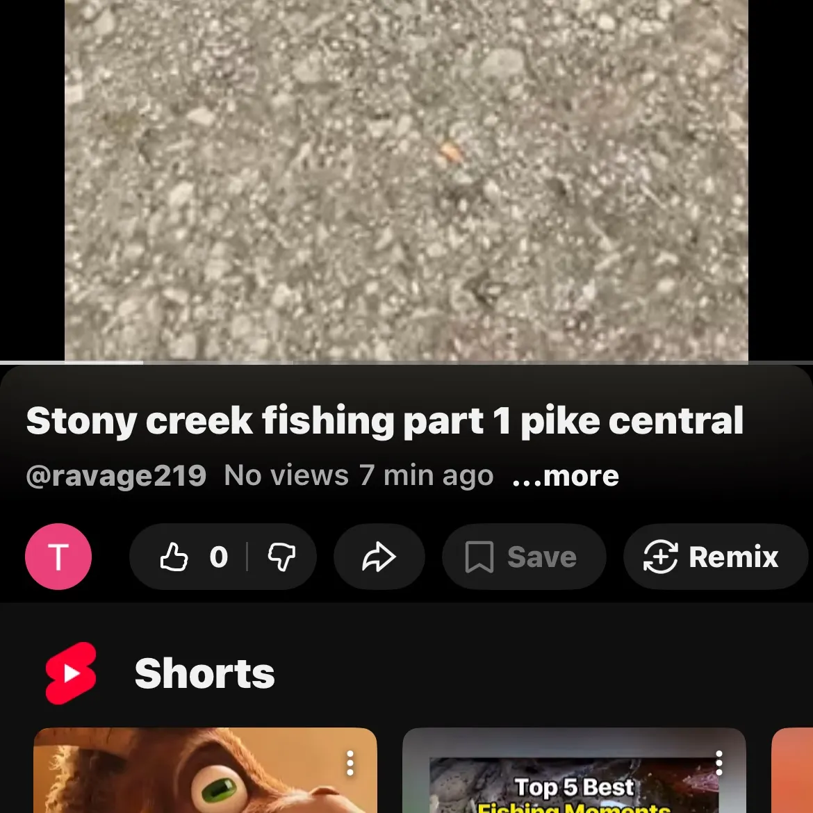 recently logged catches