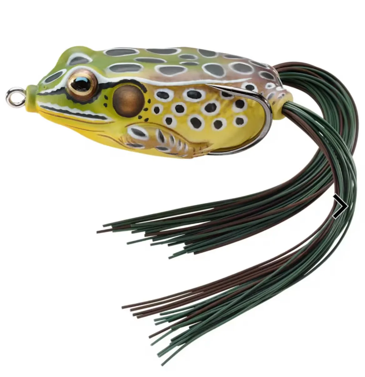 Hollow Frog Body