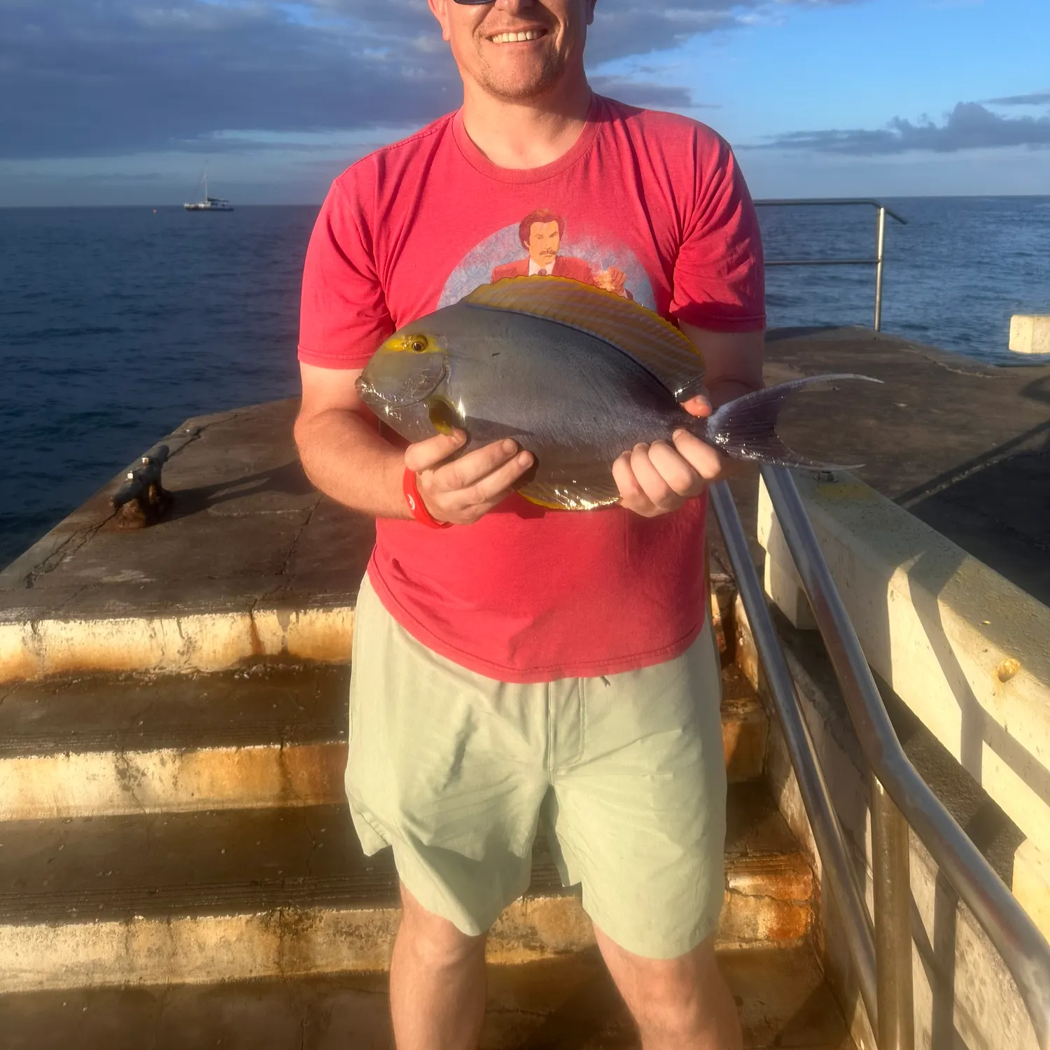 The most recent Yellowfin surgeonfish catches on Fishbrain
