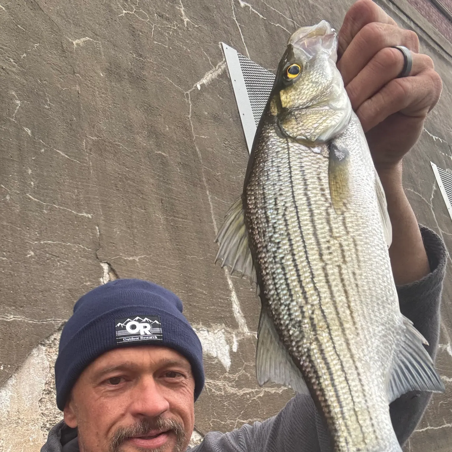 Wiper caught on Fishbrain