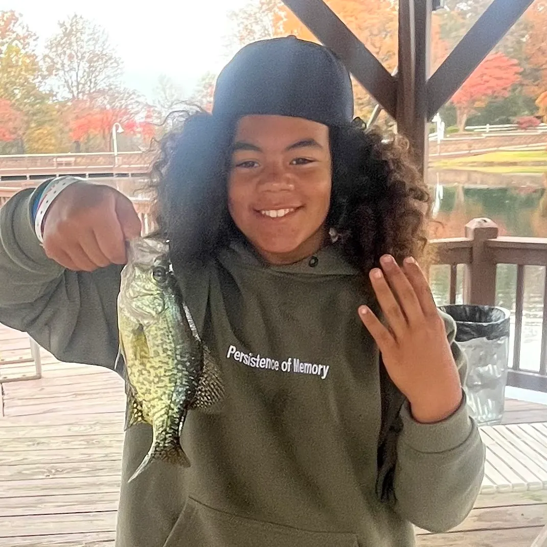 The most recent Black crappie catches on Fishbrain
