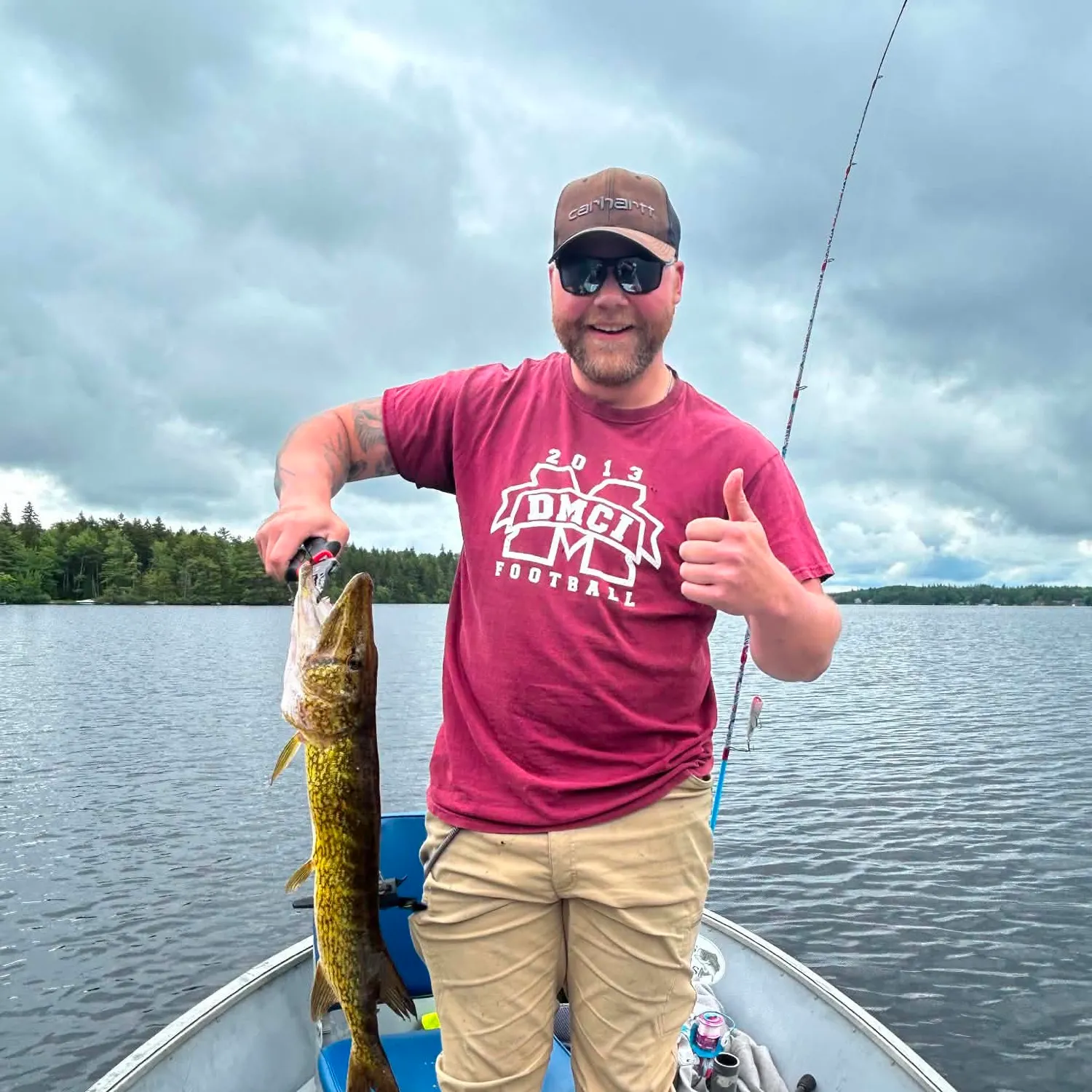 Chain pickerel caught on Fishbrain