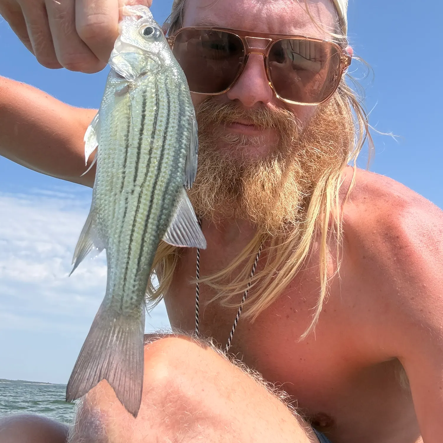 Yellow bass caught on Fishbrain