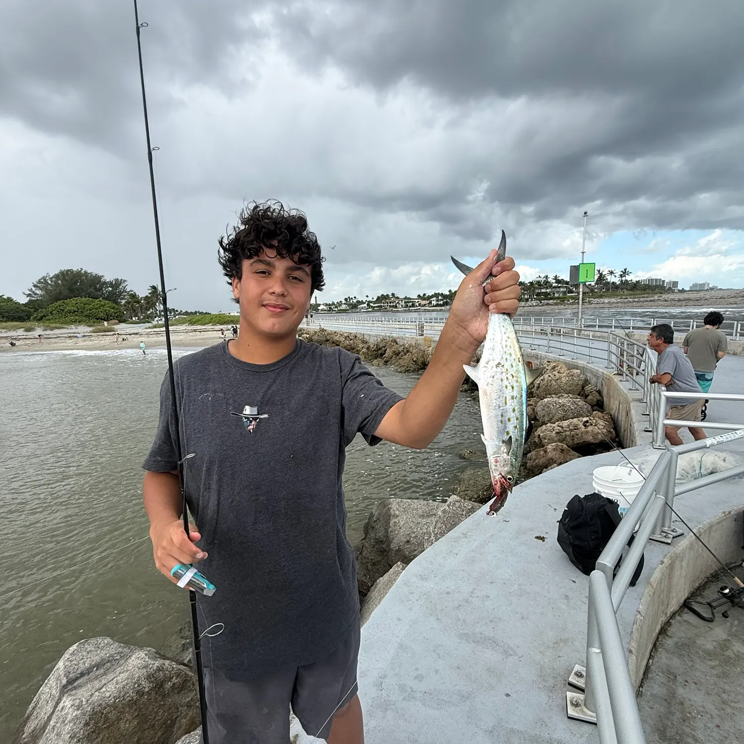 The most recent Spanish mackerel catches on Fishbrain