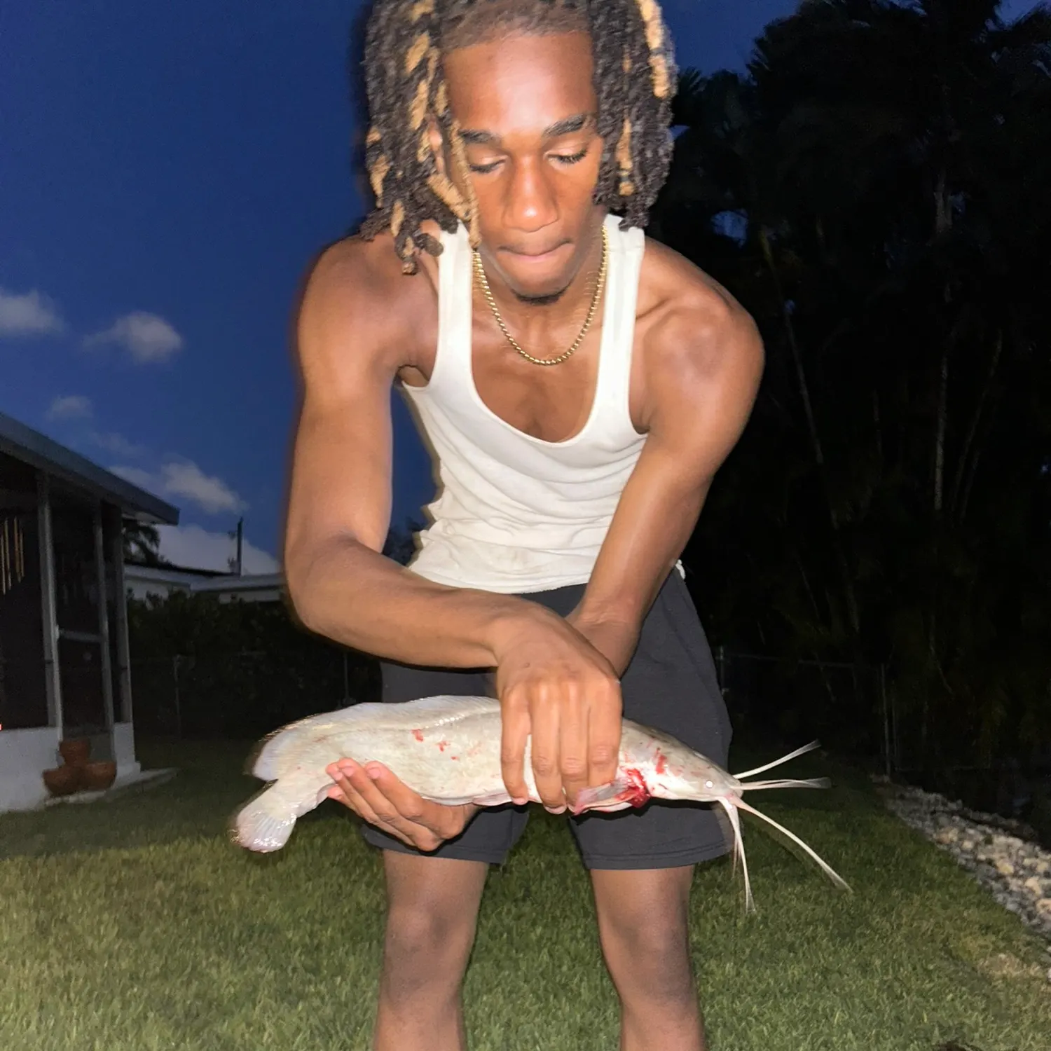The most recent Walking catfish catches on Fishbrain
