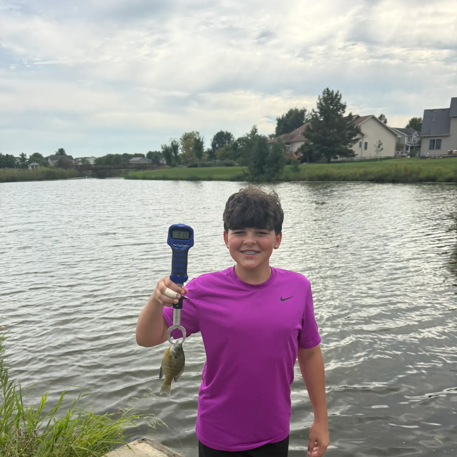 Bluegill caught on Fishbrain