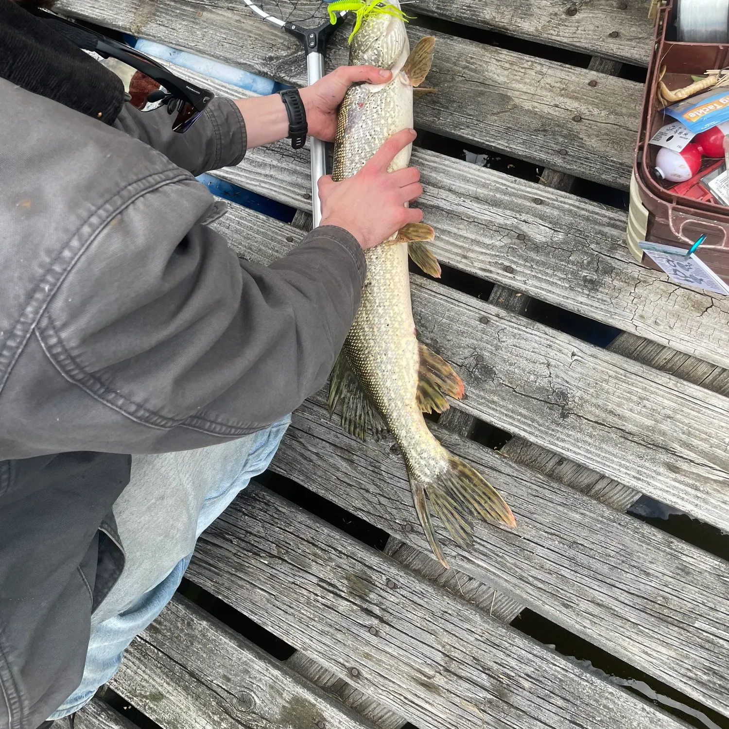 catch
