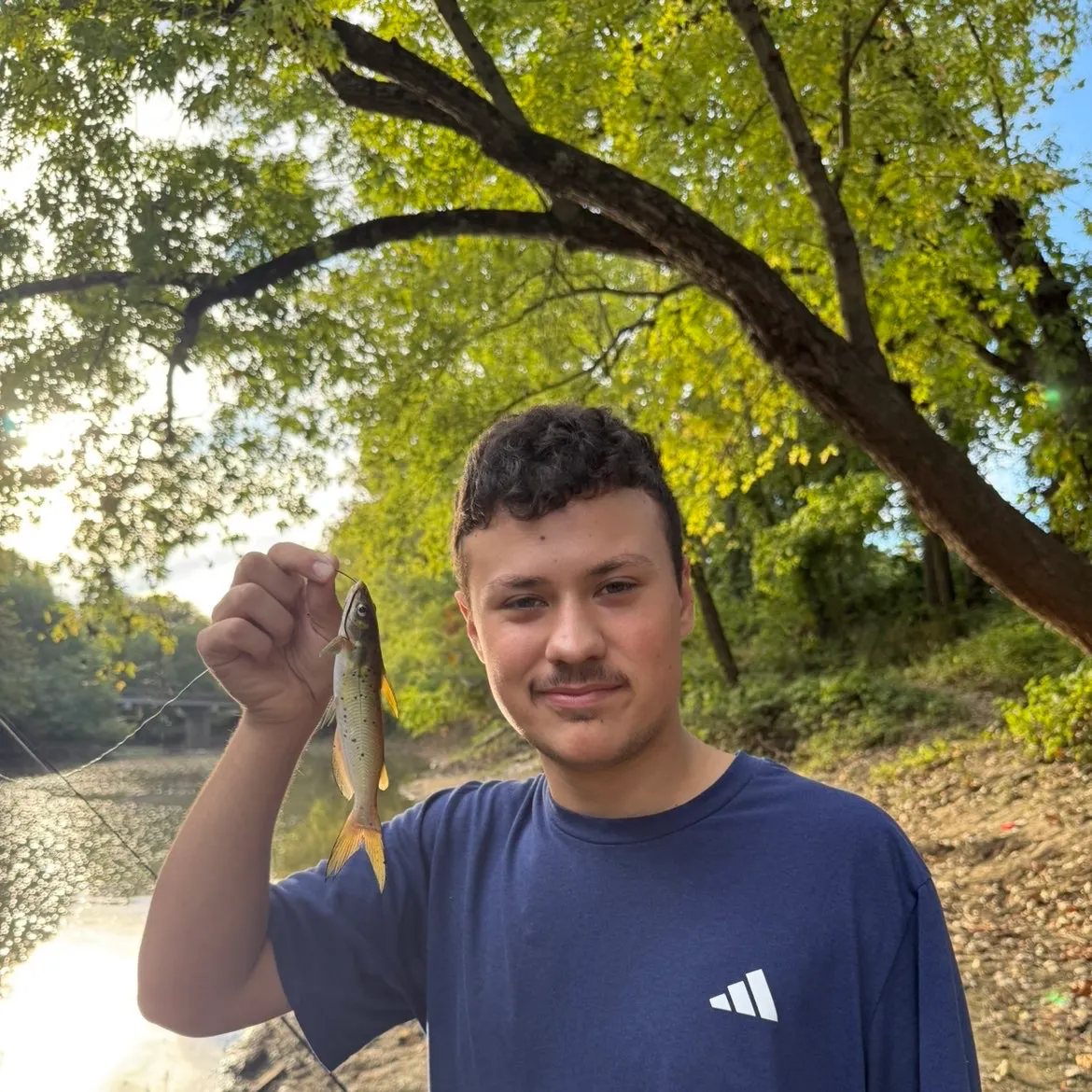 Channel catfish caught on Fishbrain