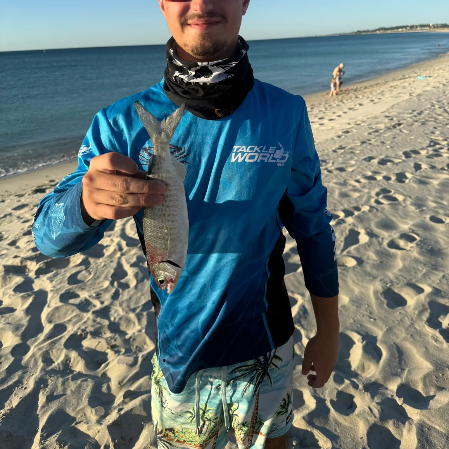 The most recent Atlantic herring catches on Fishbrain