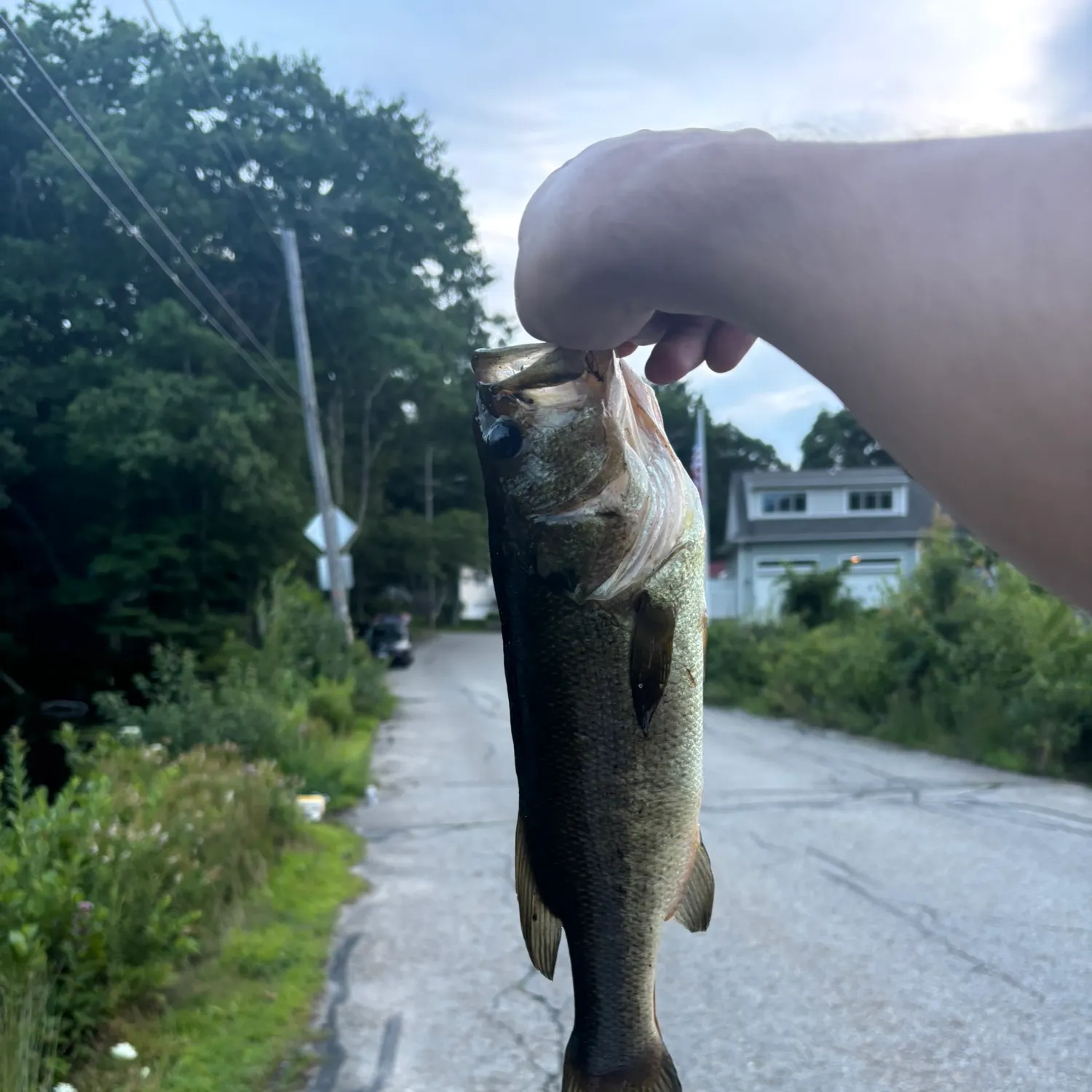catch
