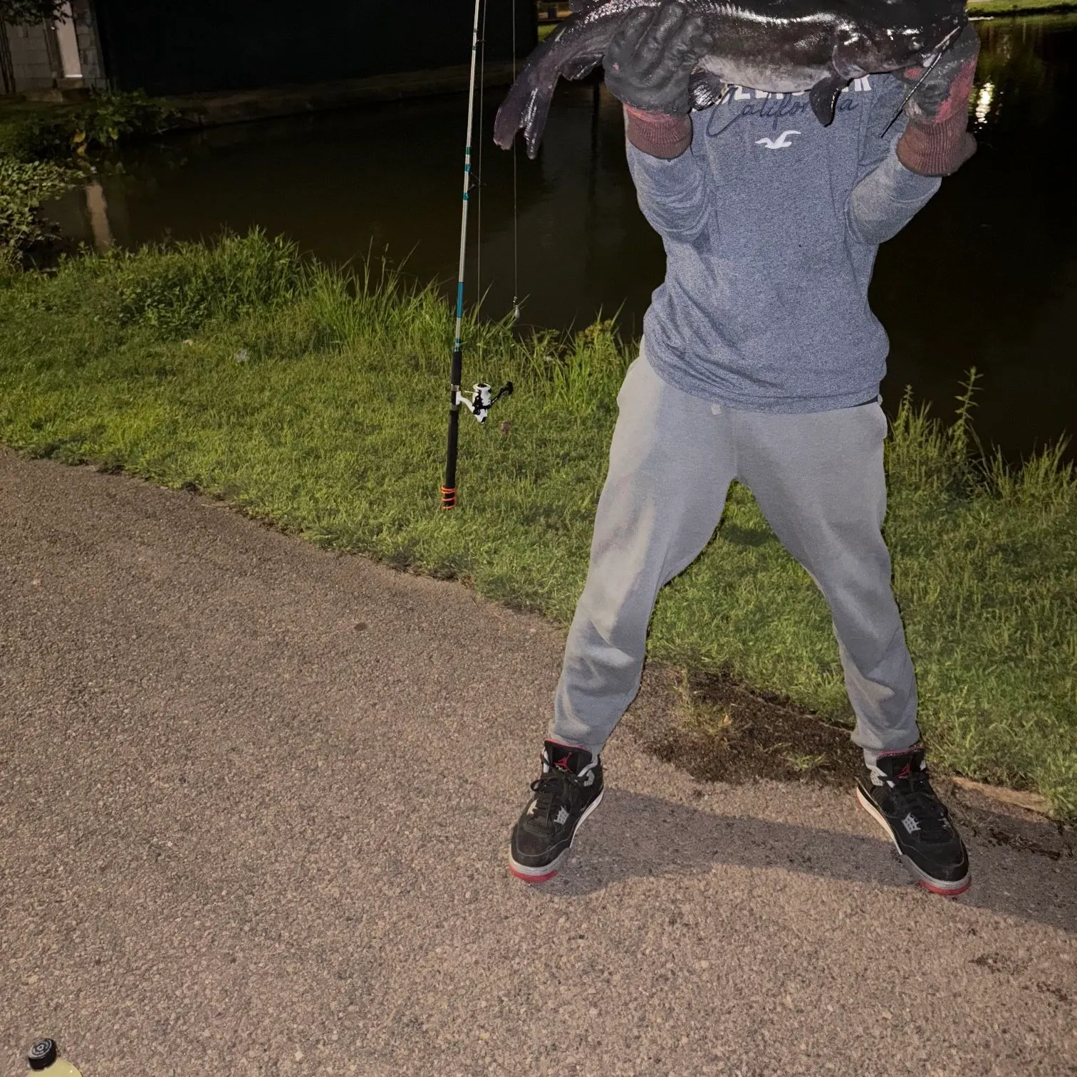 Channel catfish caught on Fishbrain