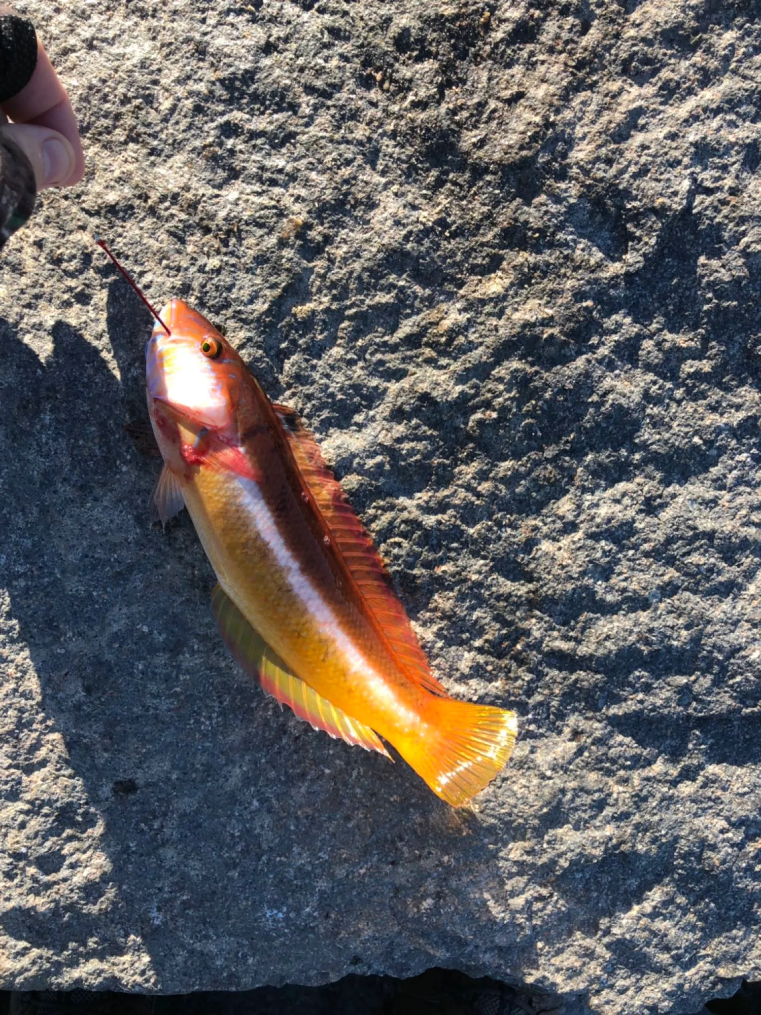 Post image from ben.o.brien