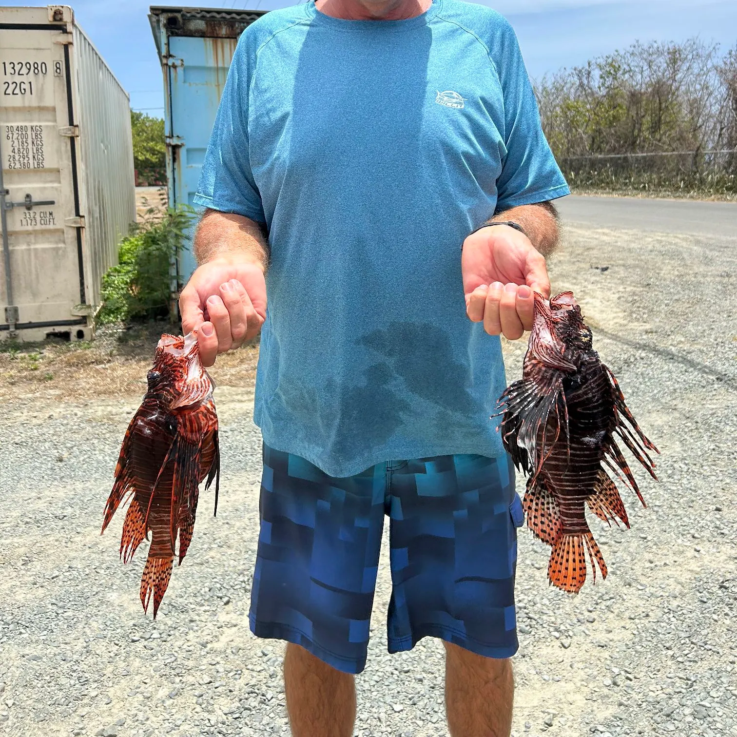 The most recent Red lionfish catches on Fishbrain