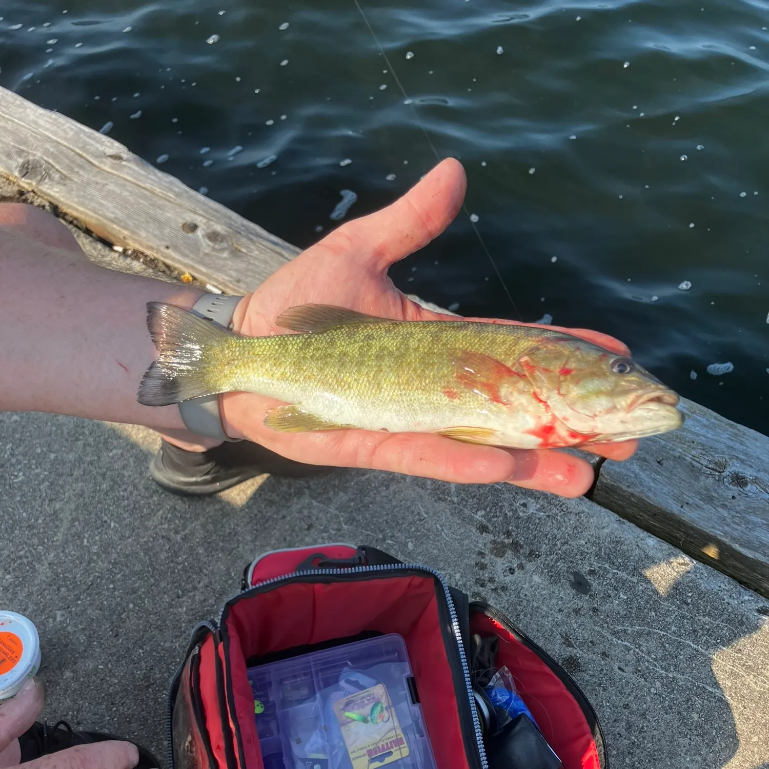 catch