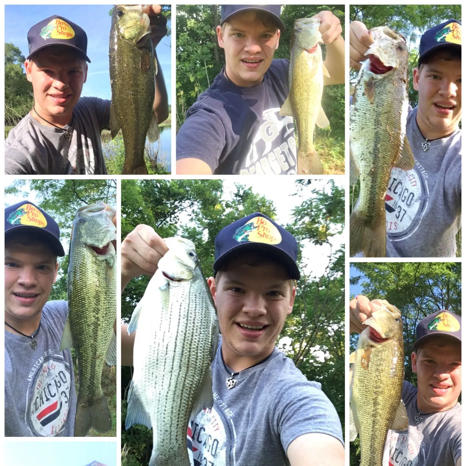 recently logged catches