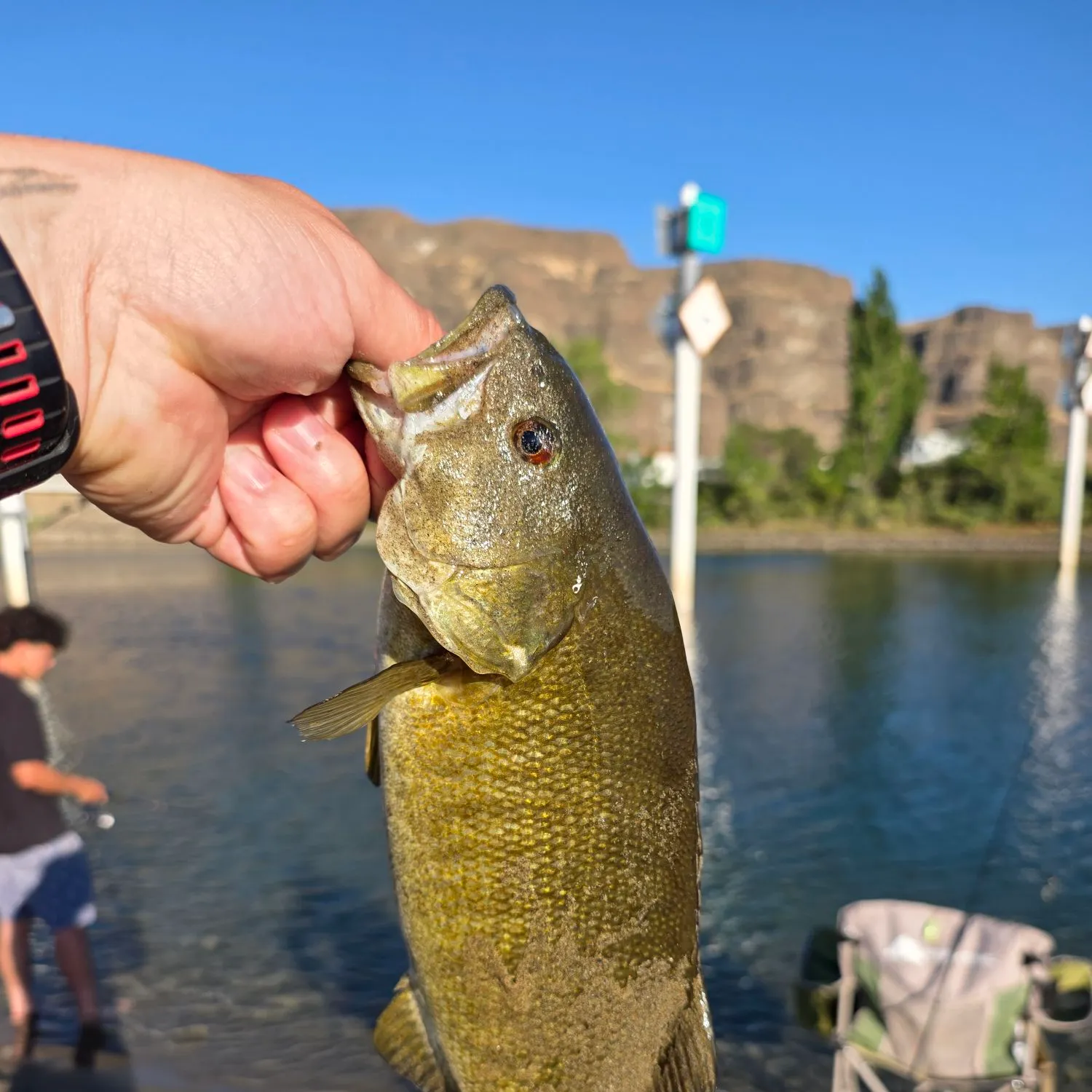 catch