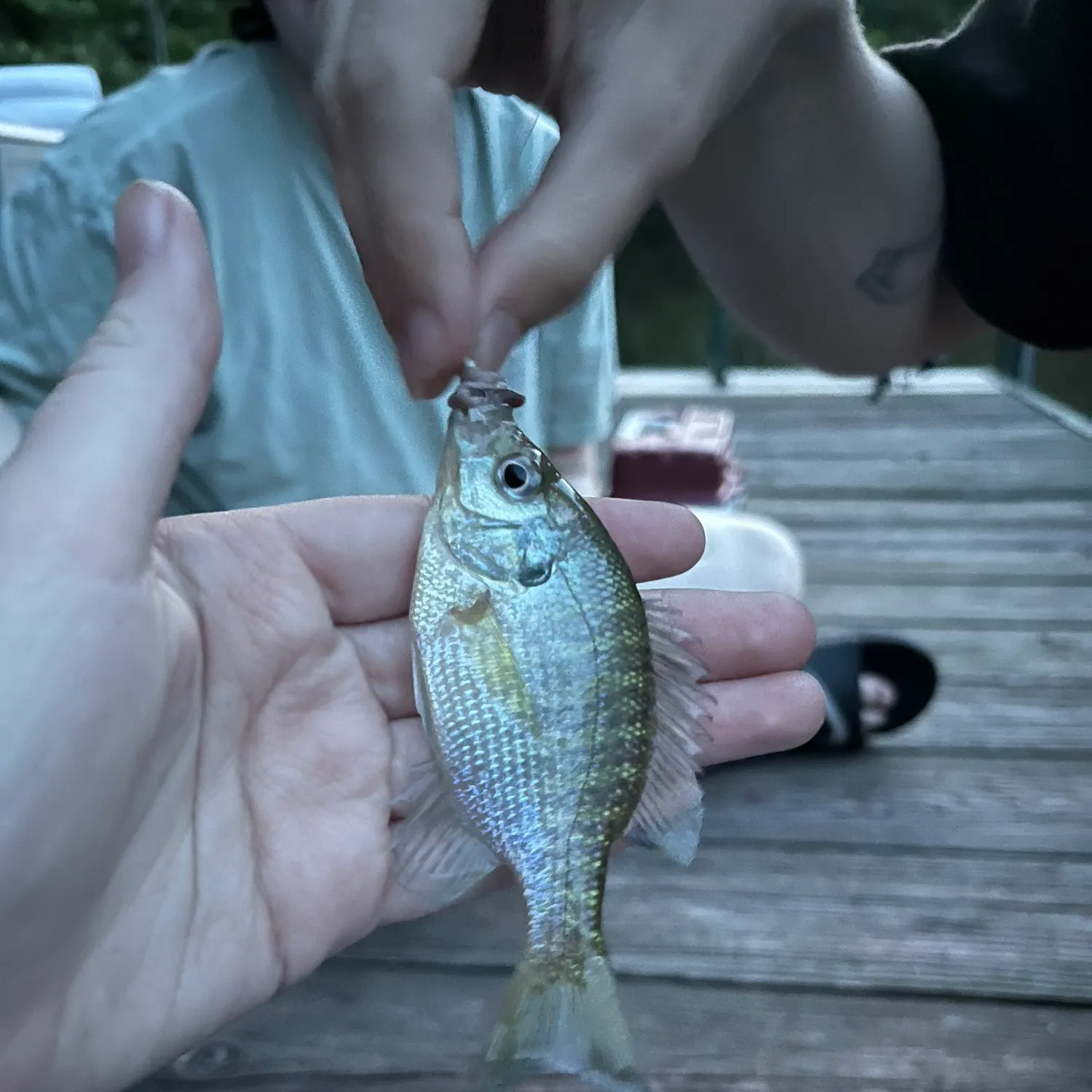 catch