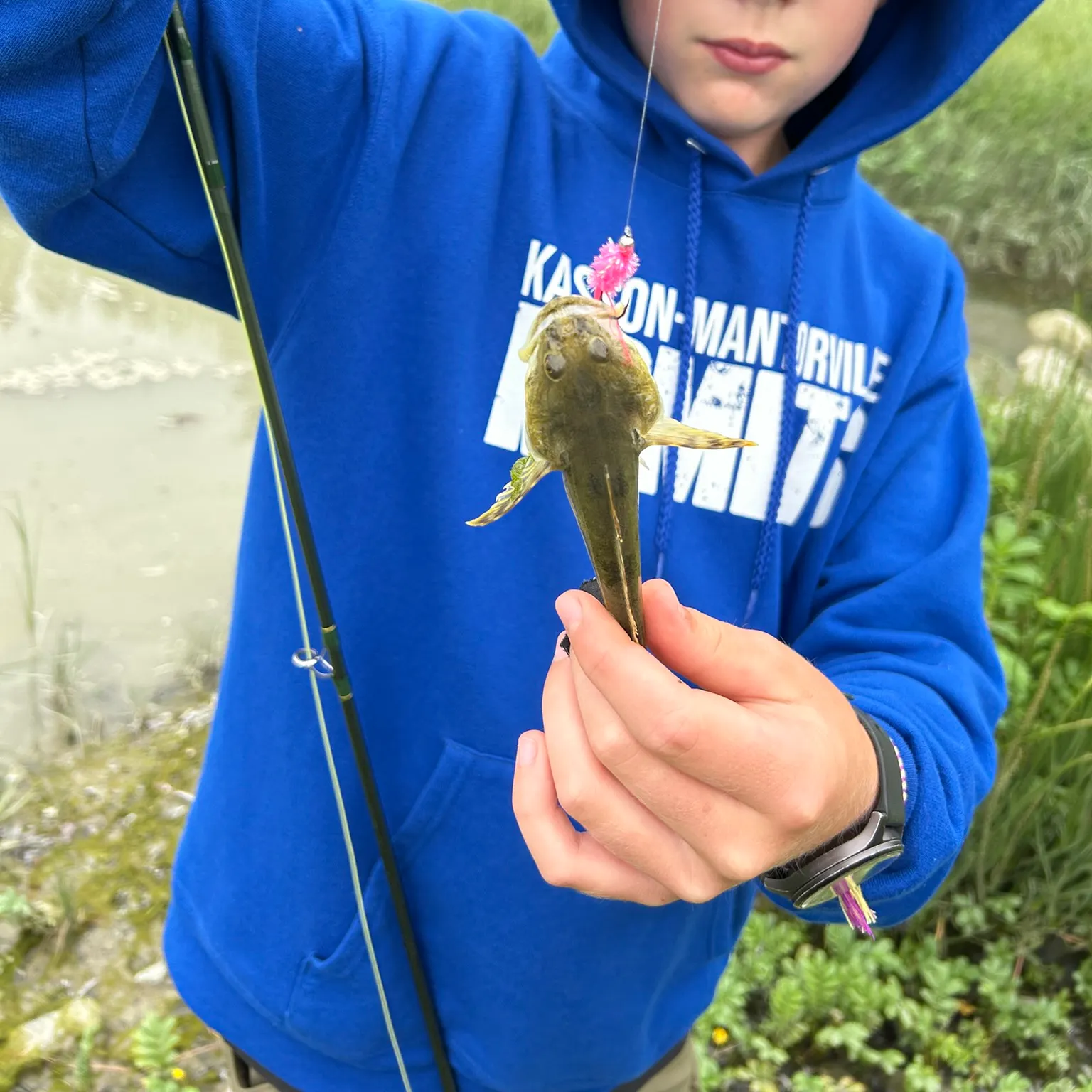 The most recent Longspined bullhead catches on Fishbrain