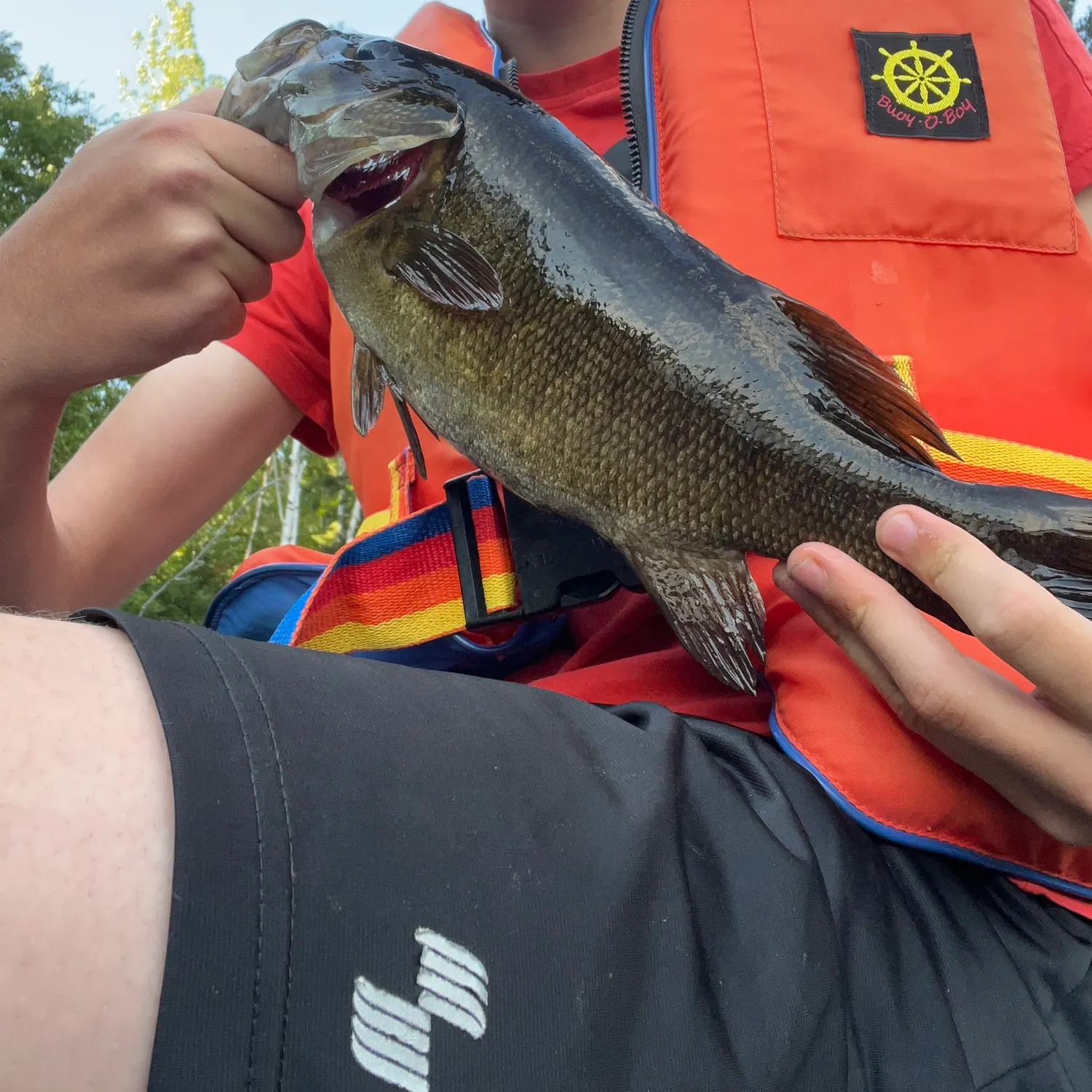 Smallmouth bass caught on Fishbrain