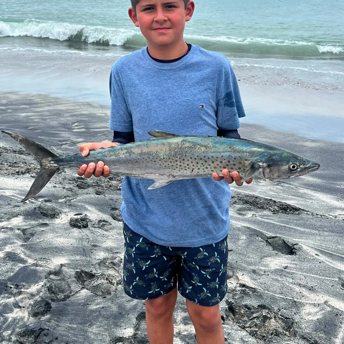 The most recent Spanish mackerel catches on Fishbrain