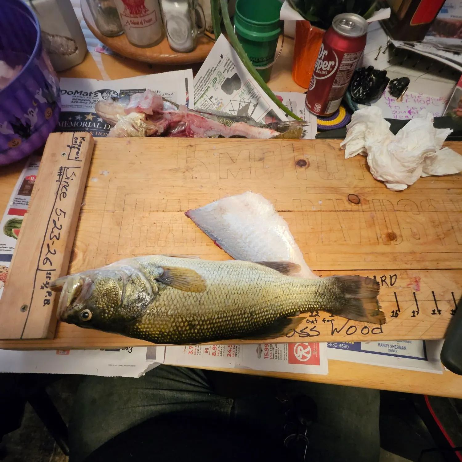 recently logged catches